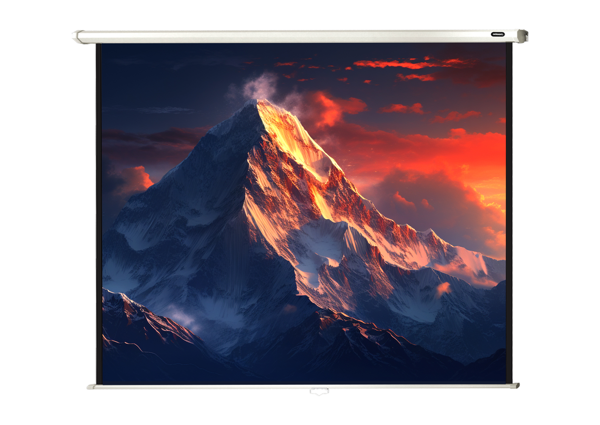 Écran de projection manuel celexon Economy