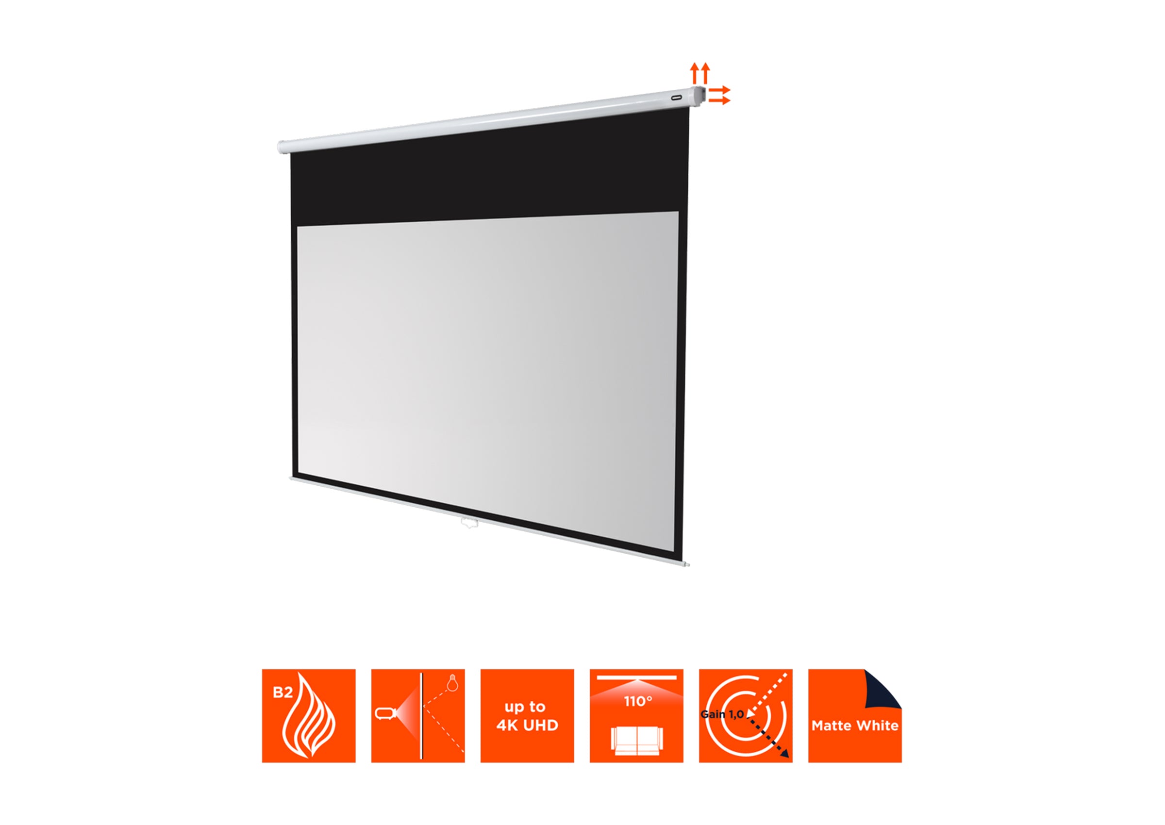 celexon Leinwand Rollo Economy