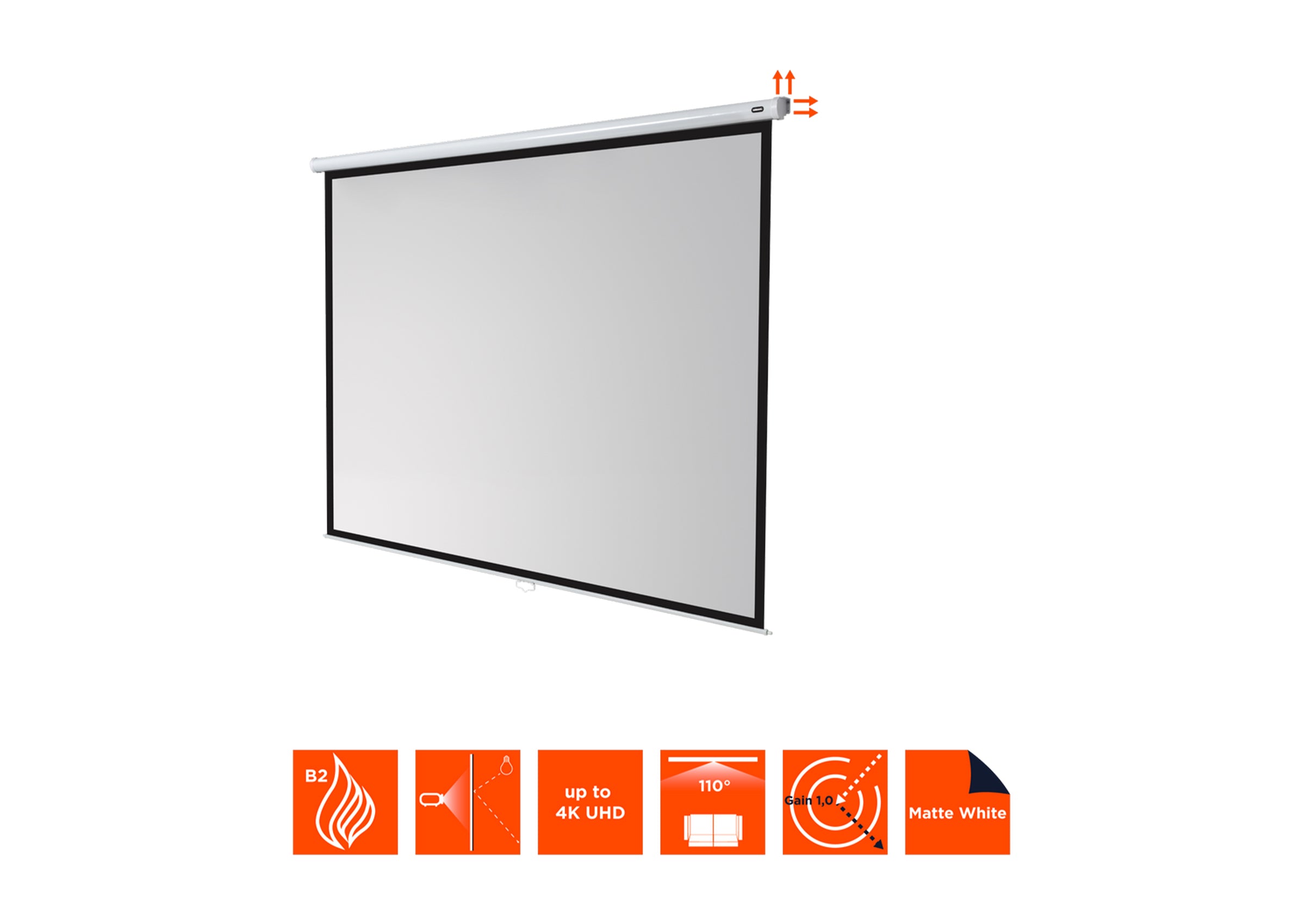 celexon Leinwand Rollo Economy