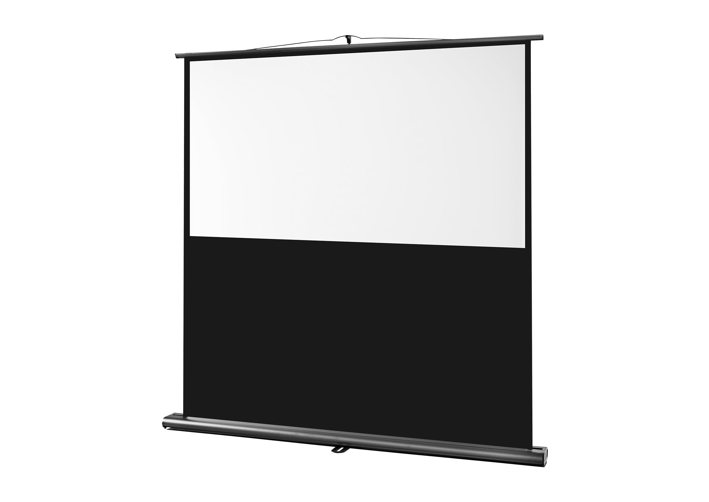 celexon Leinwand Ultramobil Plus Professional