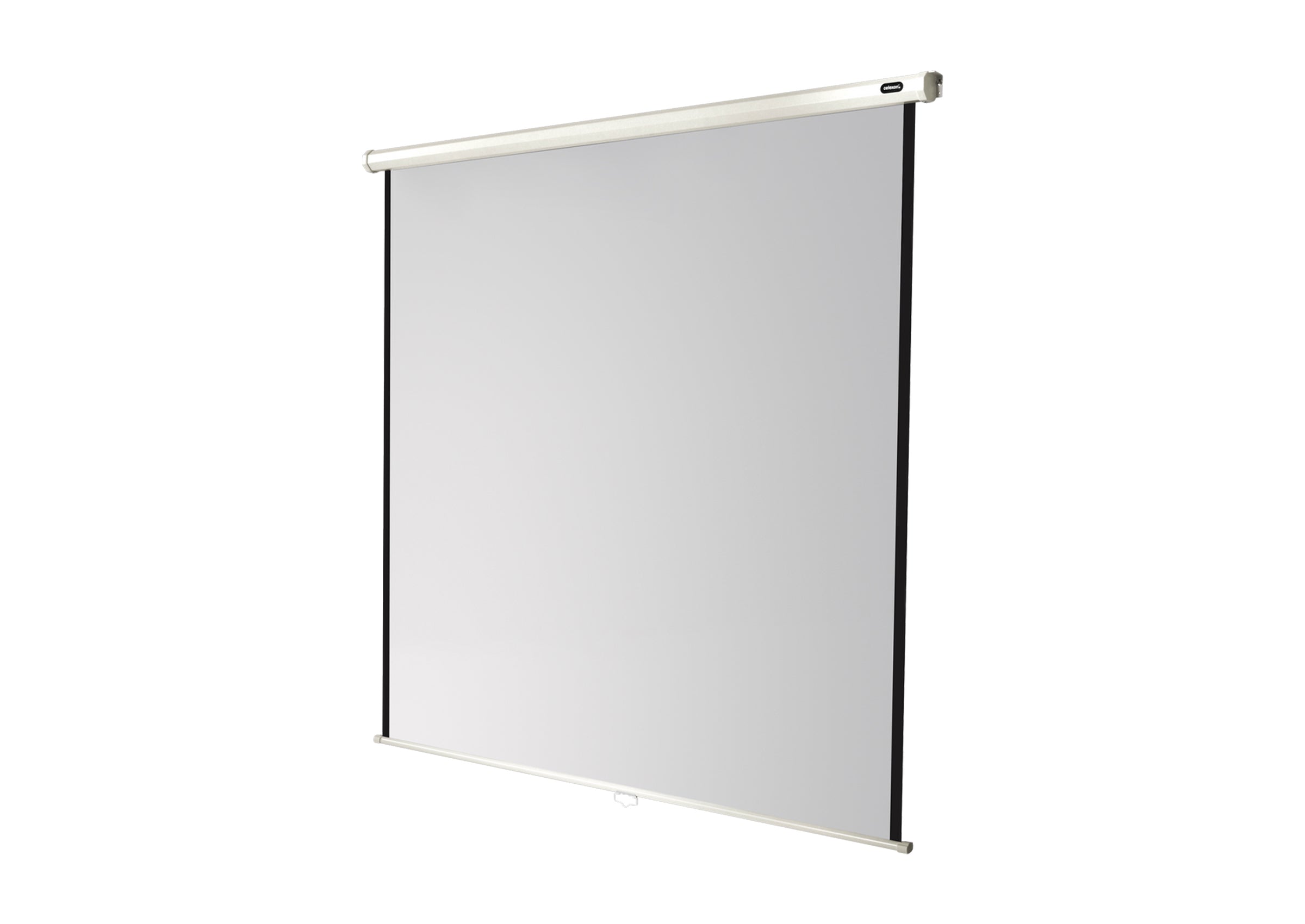 celexon Projector screen Manual Economy