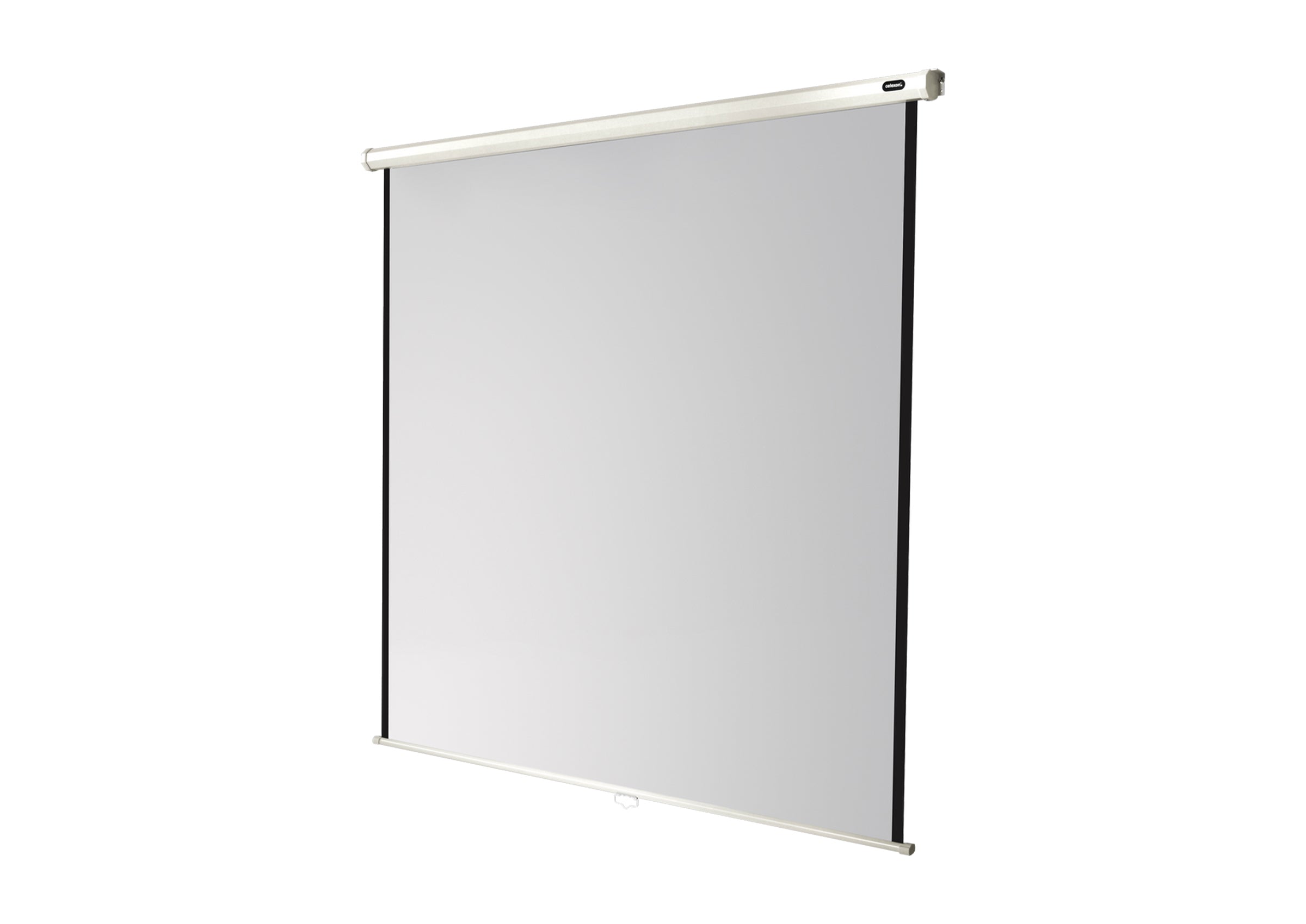 celexon Projector screen Manual Economy