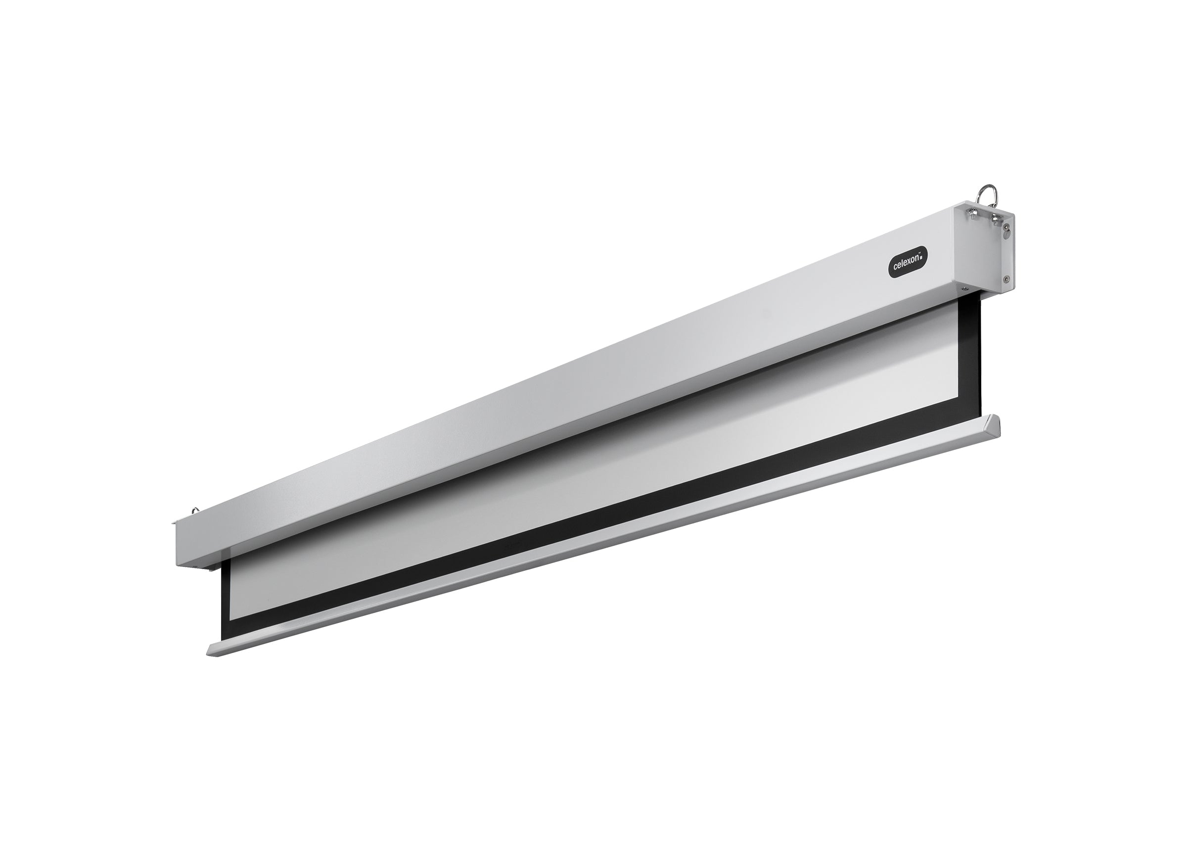 celexon Leinwand Motor Professional Plus