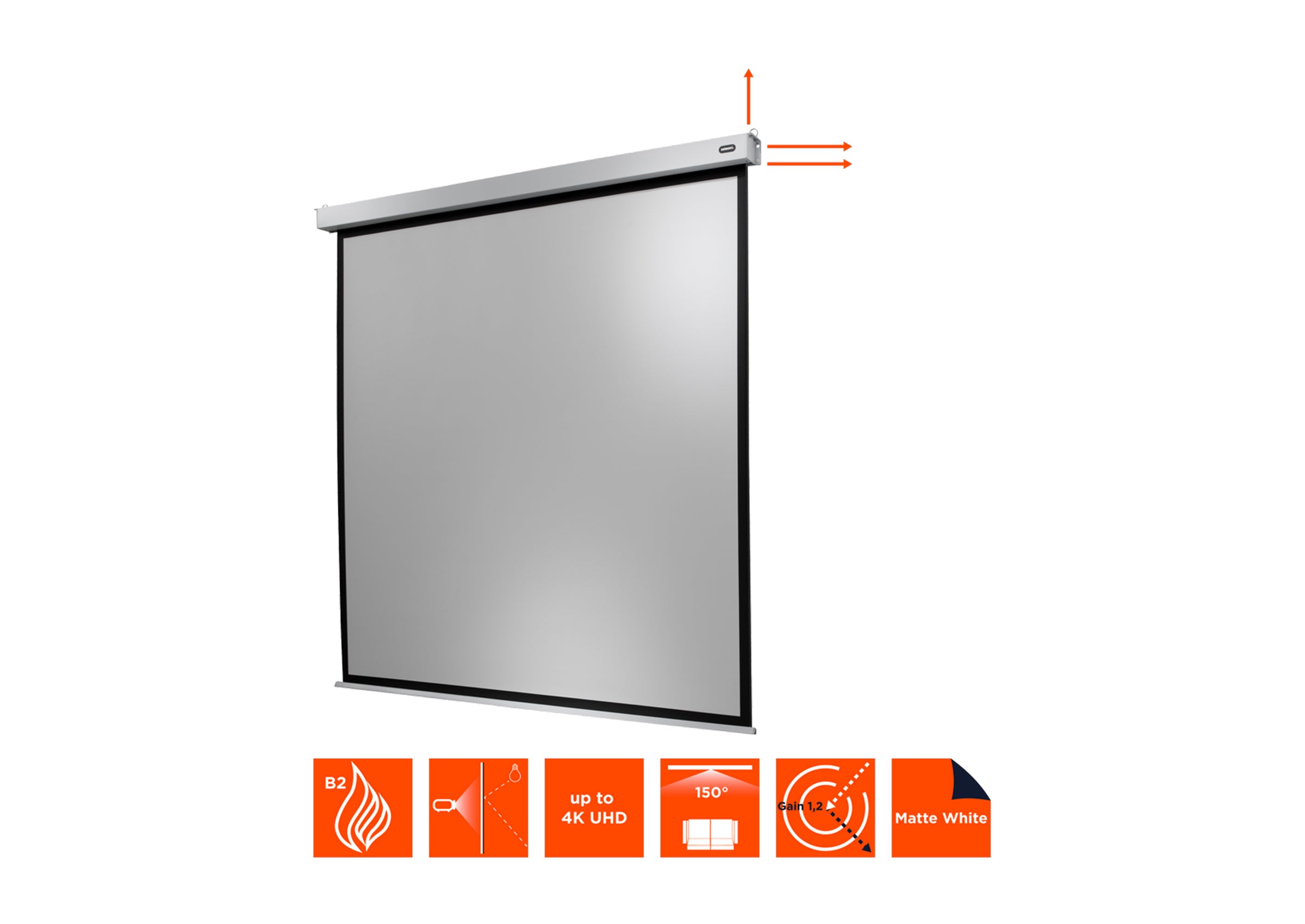 celexon Projector Screen Electric Professional Plus