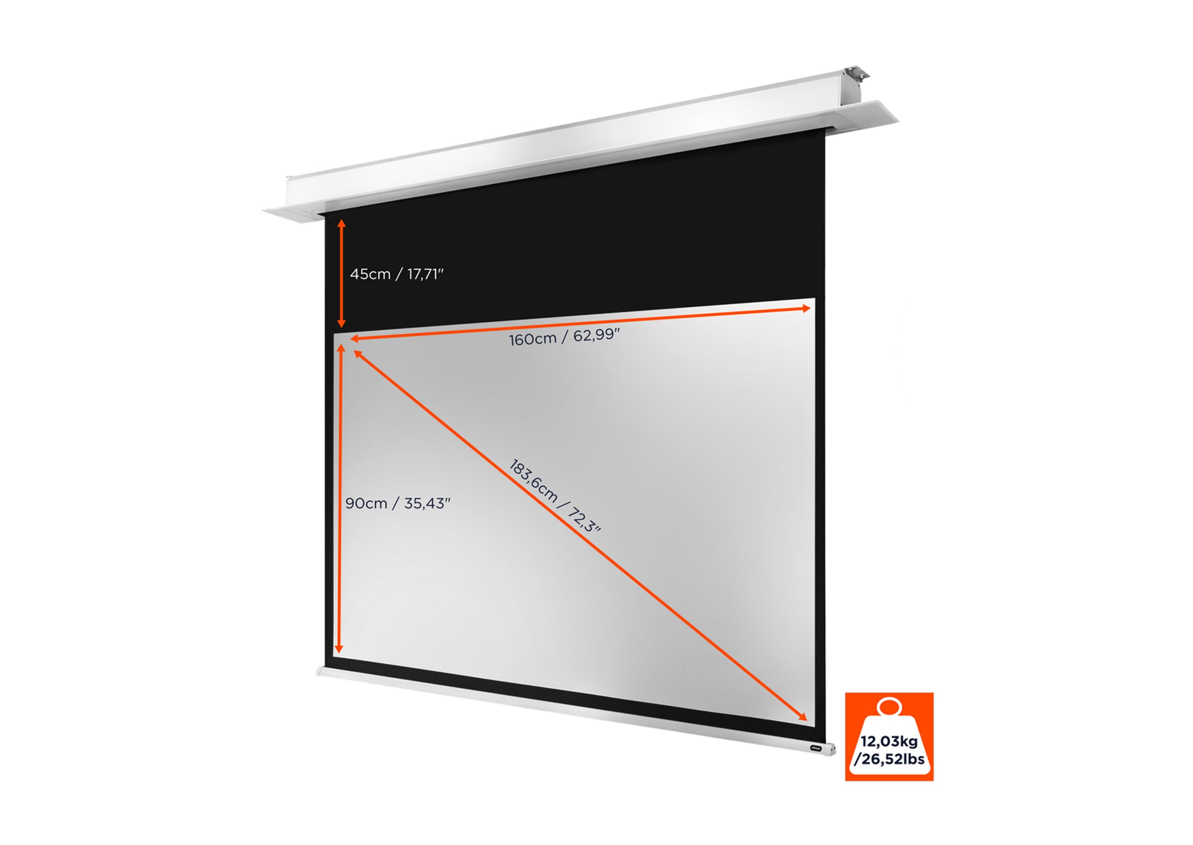 celexon Ceiling Recessed Electric Professional Plus Projector Screen