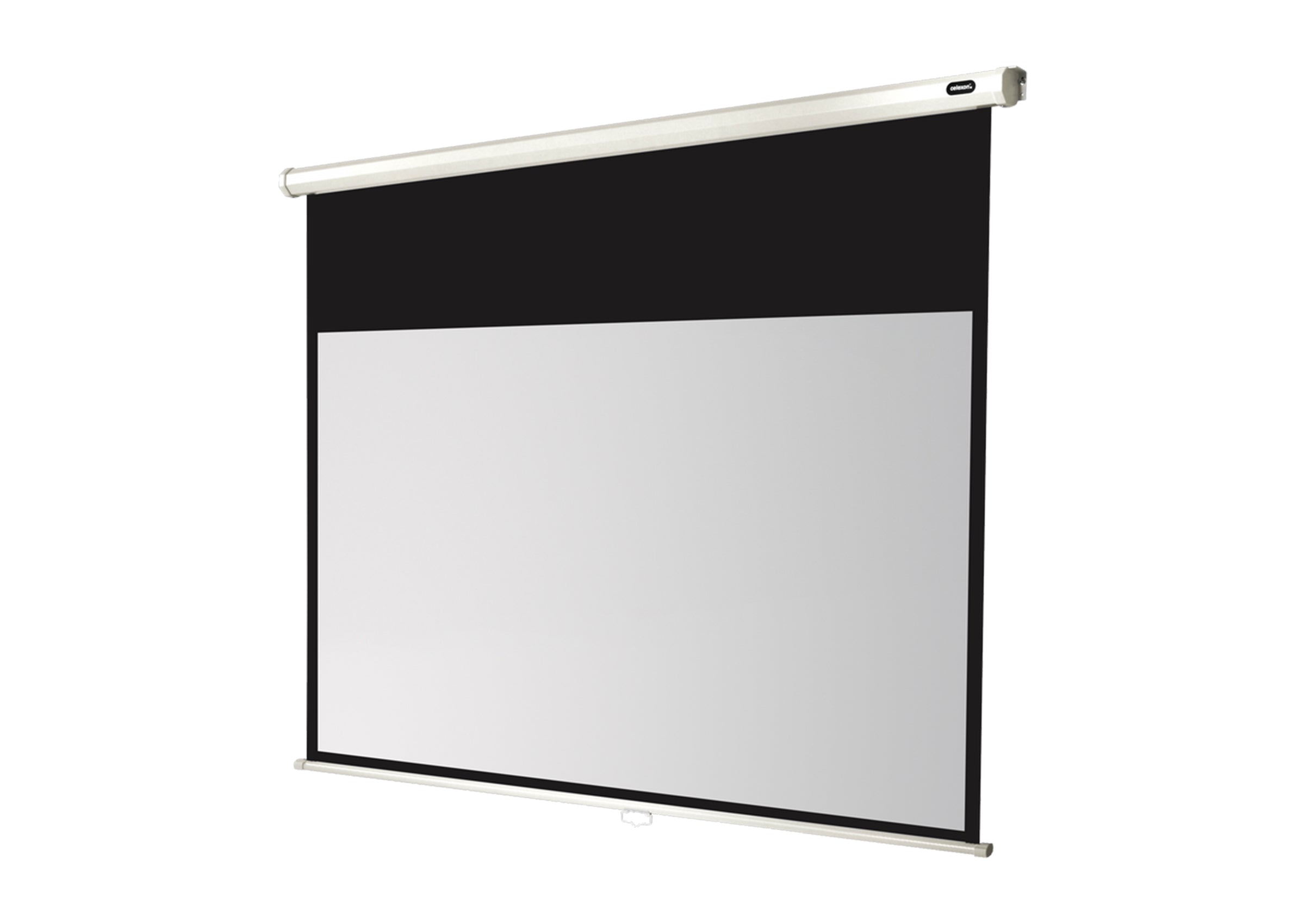 celexon Projector screen Manual Economy