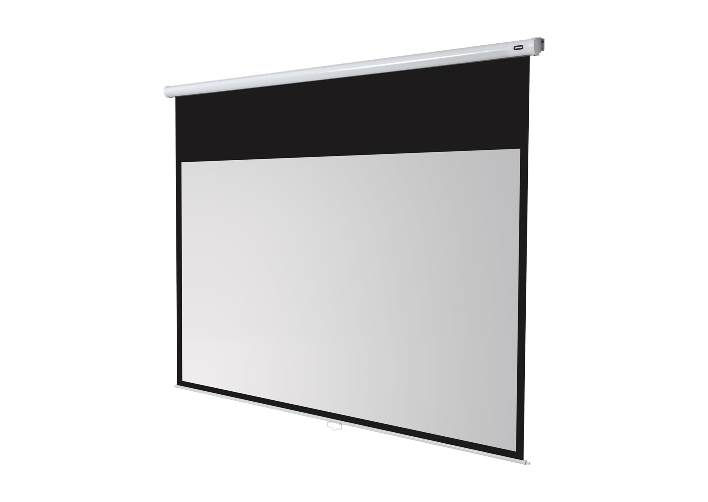 celexon Projector screen Manual Economy