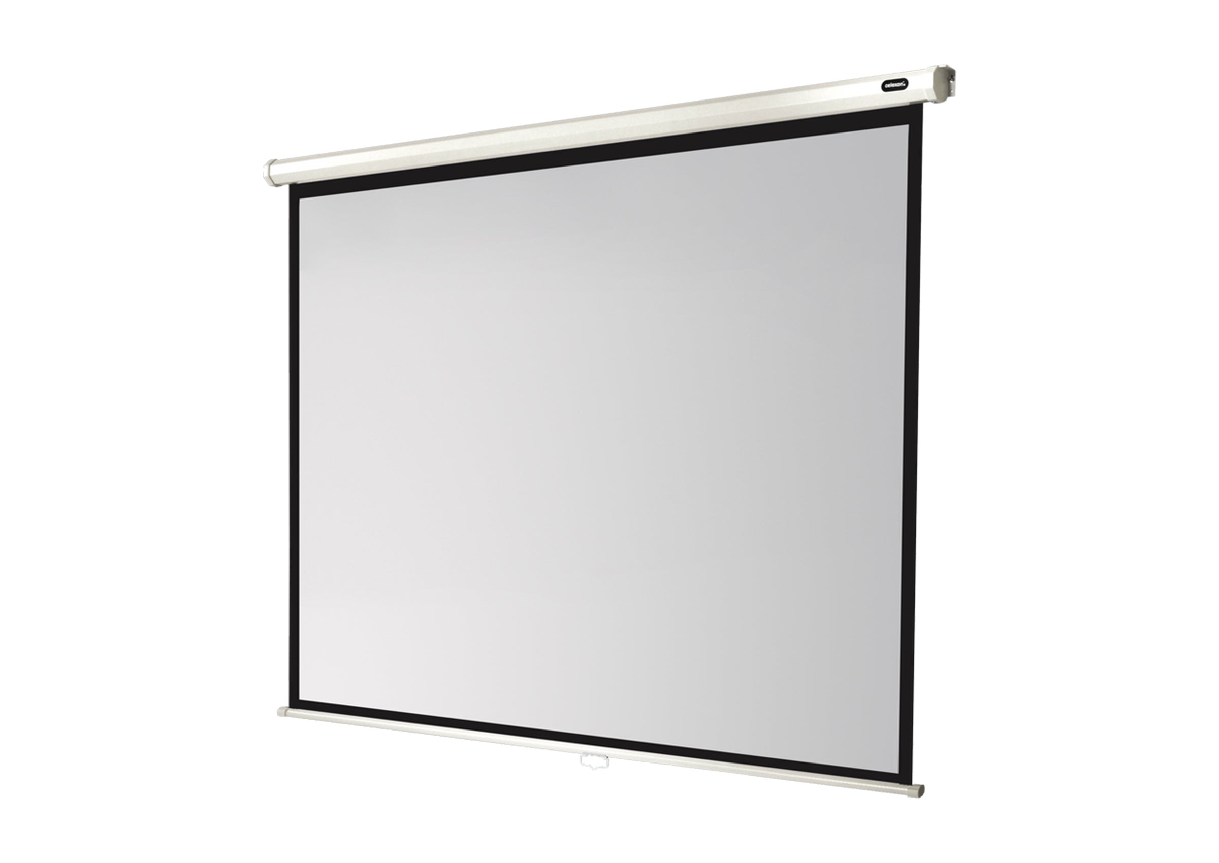 celexon Projector screen Manual Economy