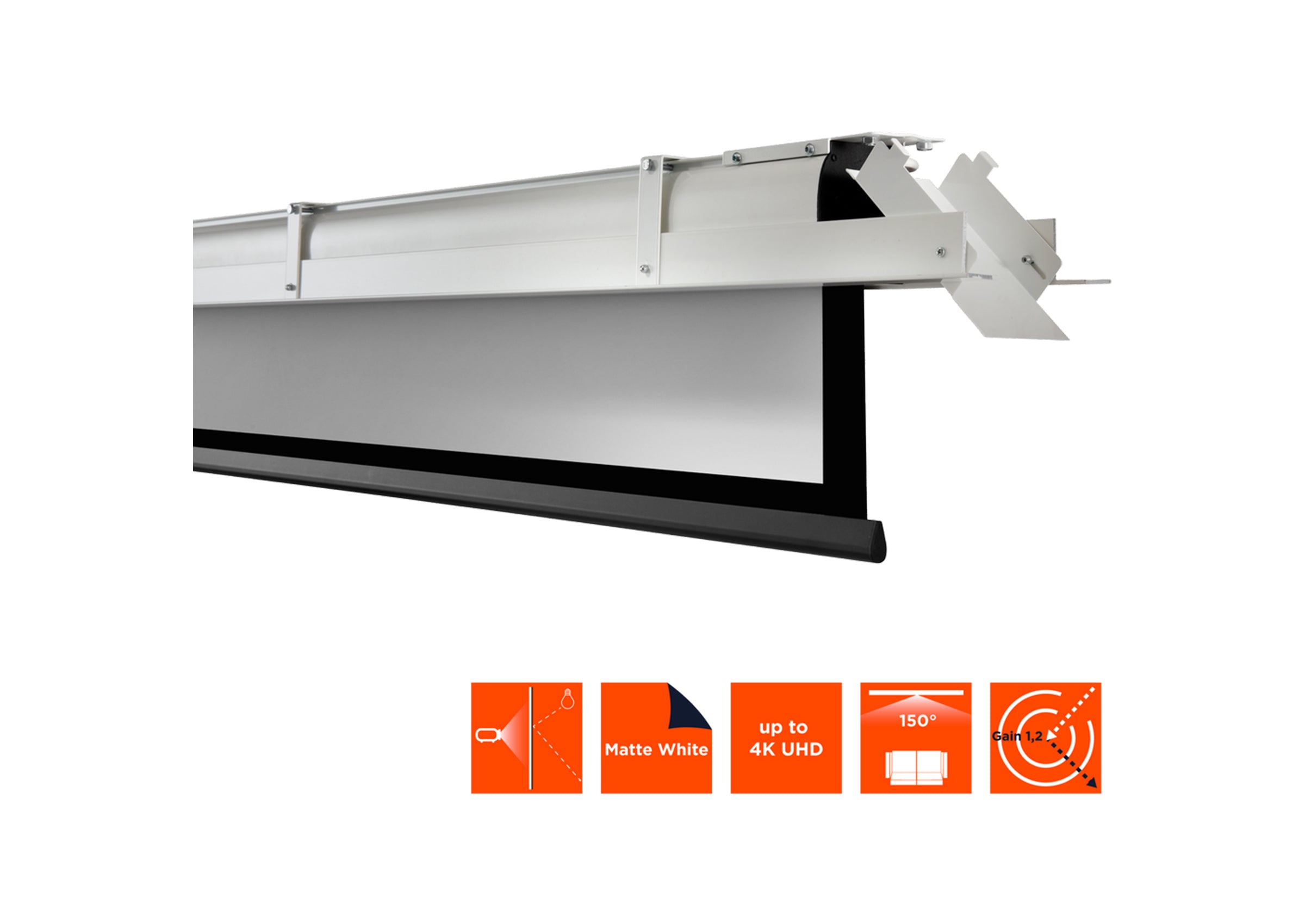 celexon ceiling recessed electric projector screen Expert