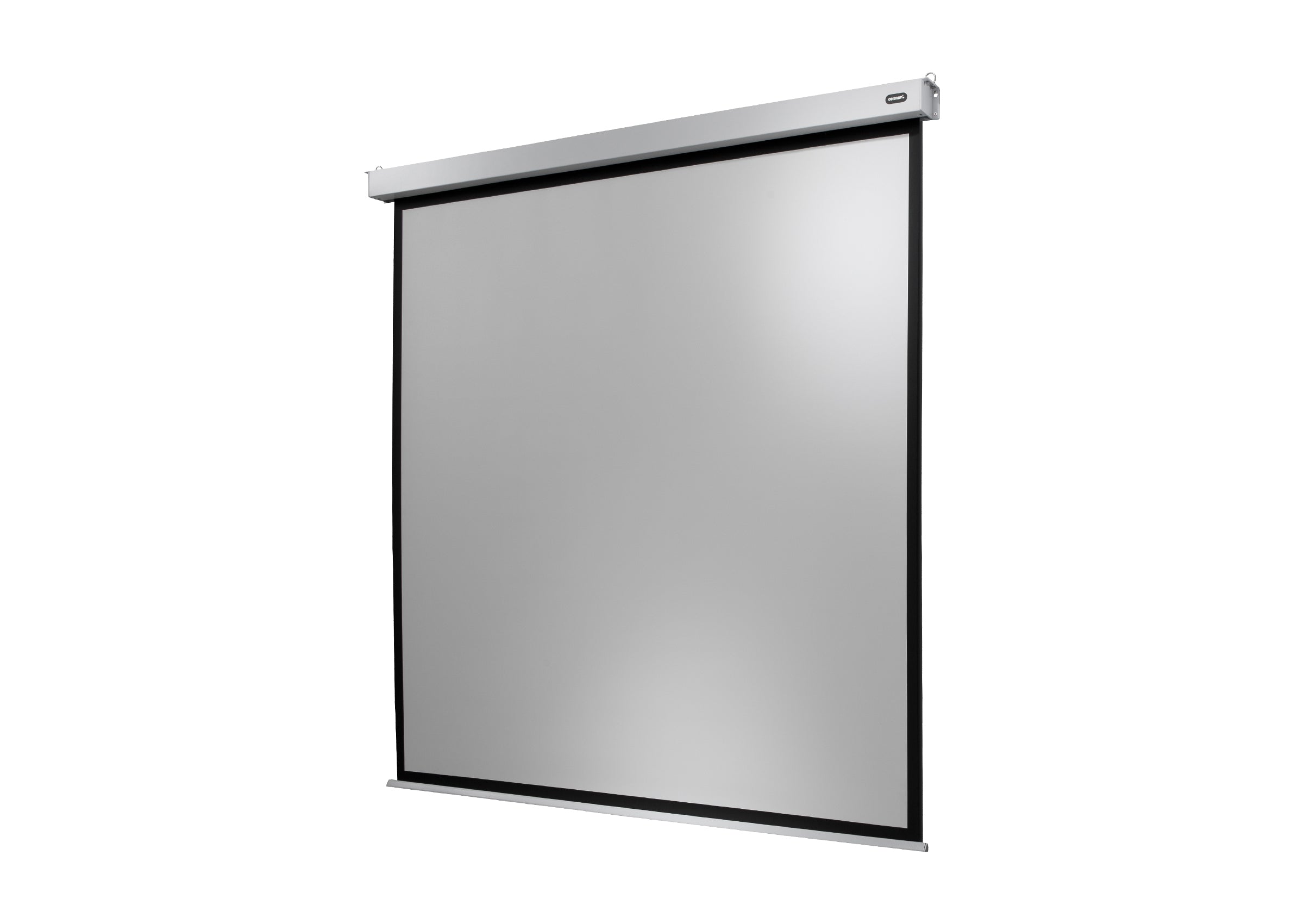 celexon Projector Screen Electric Professional Plus