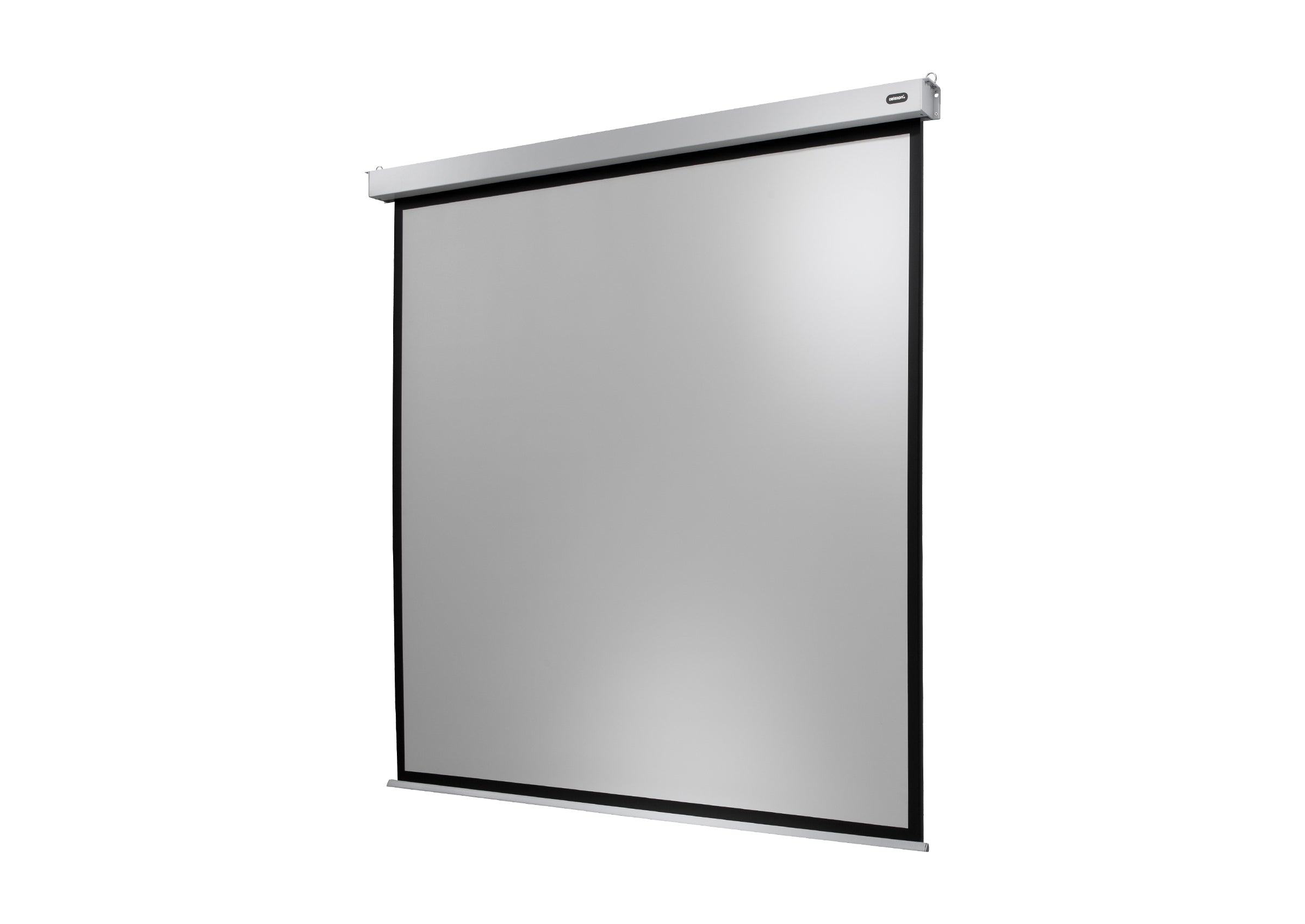 celexon Leinwand Motor Professional Plus