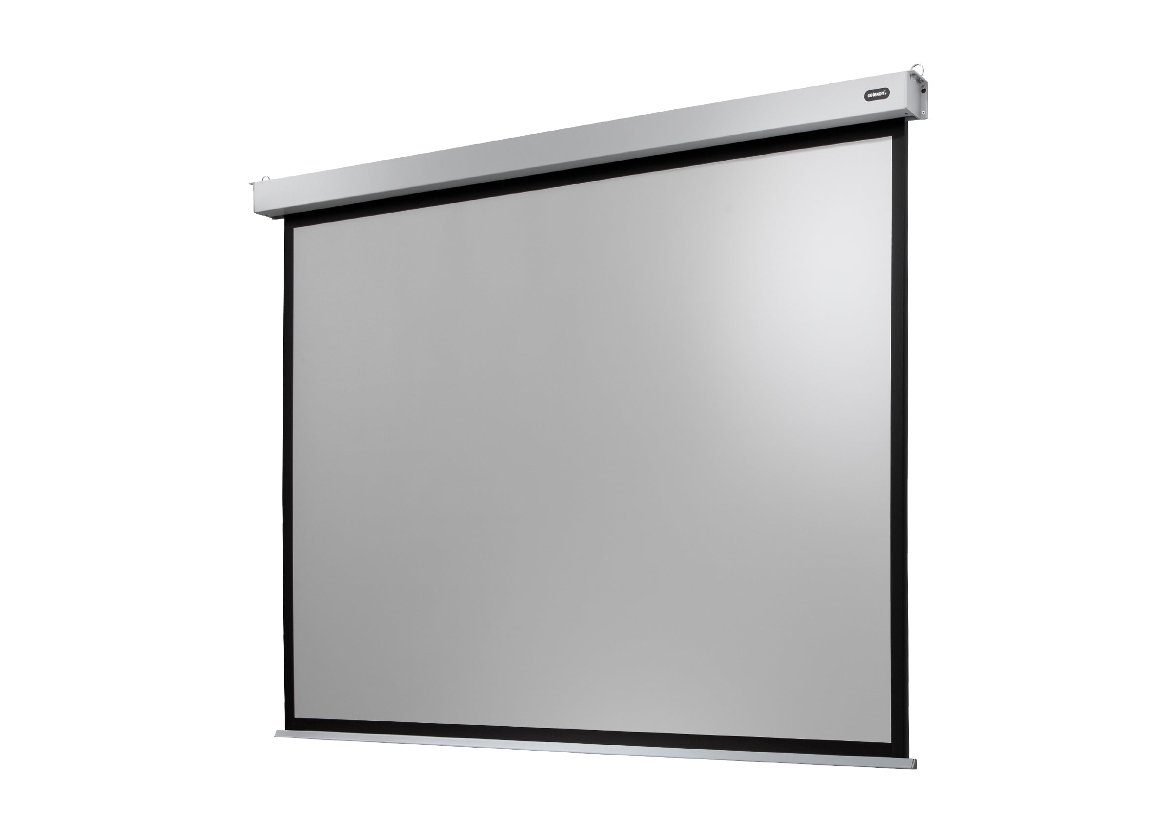 celexon Projector Screen Electric Professional Plus