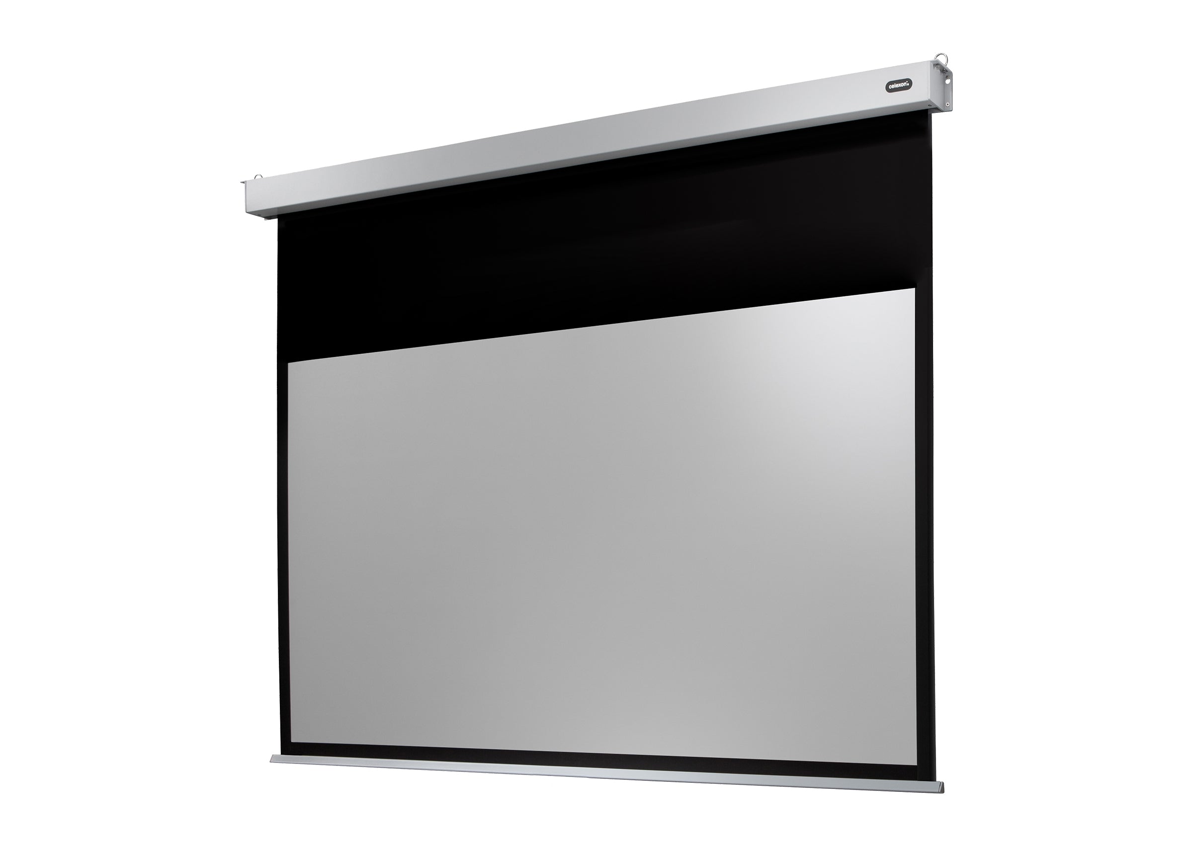 celexon Projector Screen Electric Professional Plus