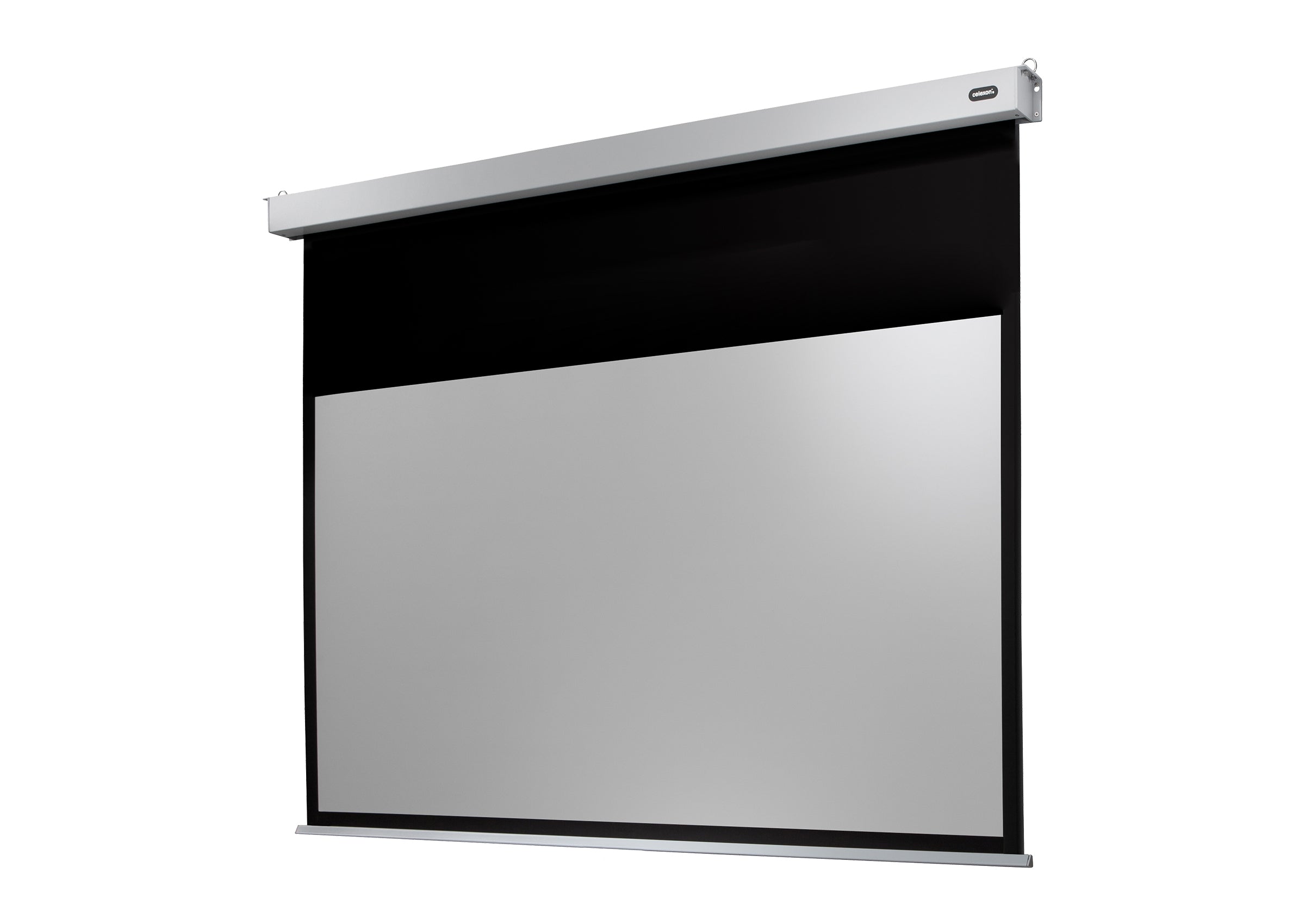 celexon Leinwand Motor Professional Plus
