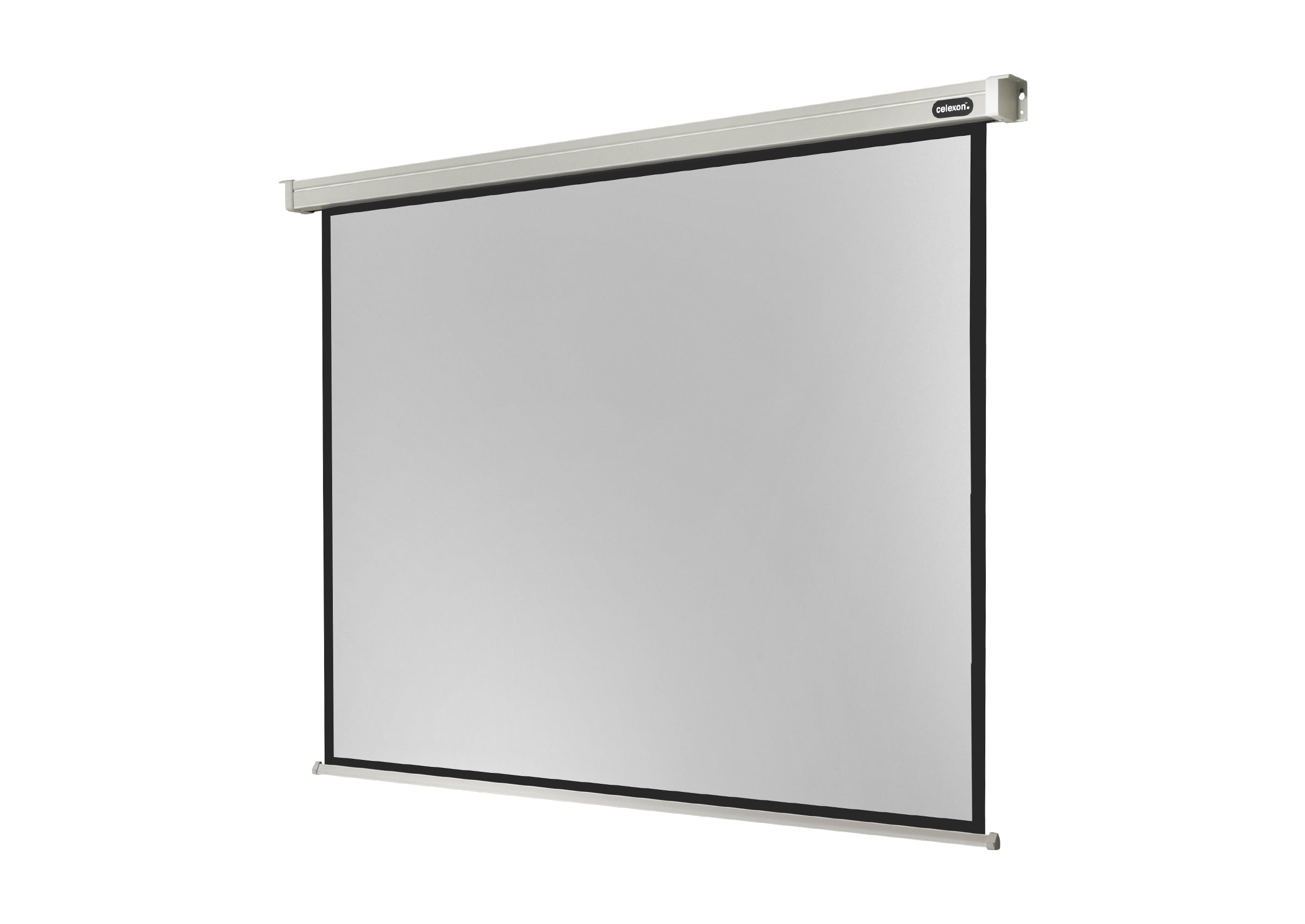 celexon Projector Screen Electric Professional