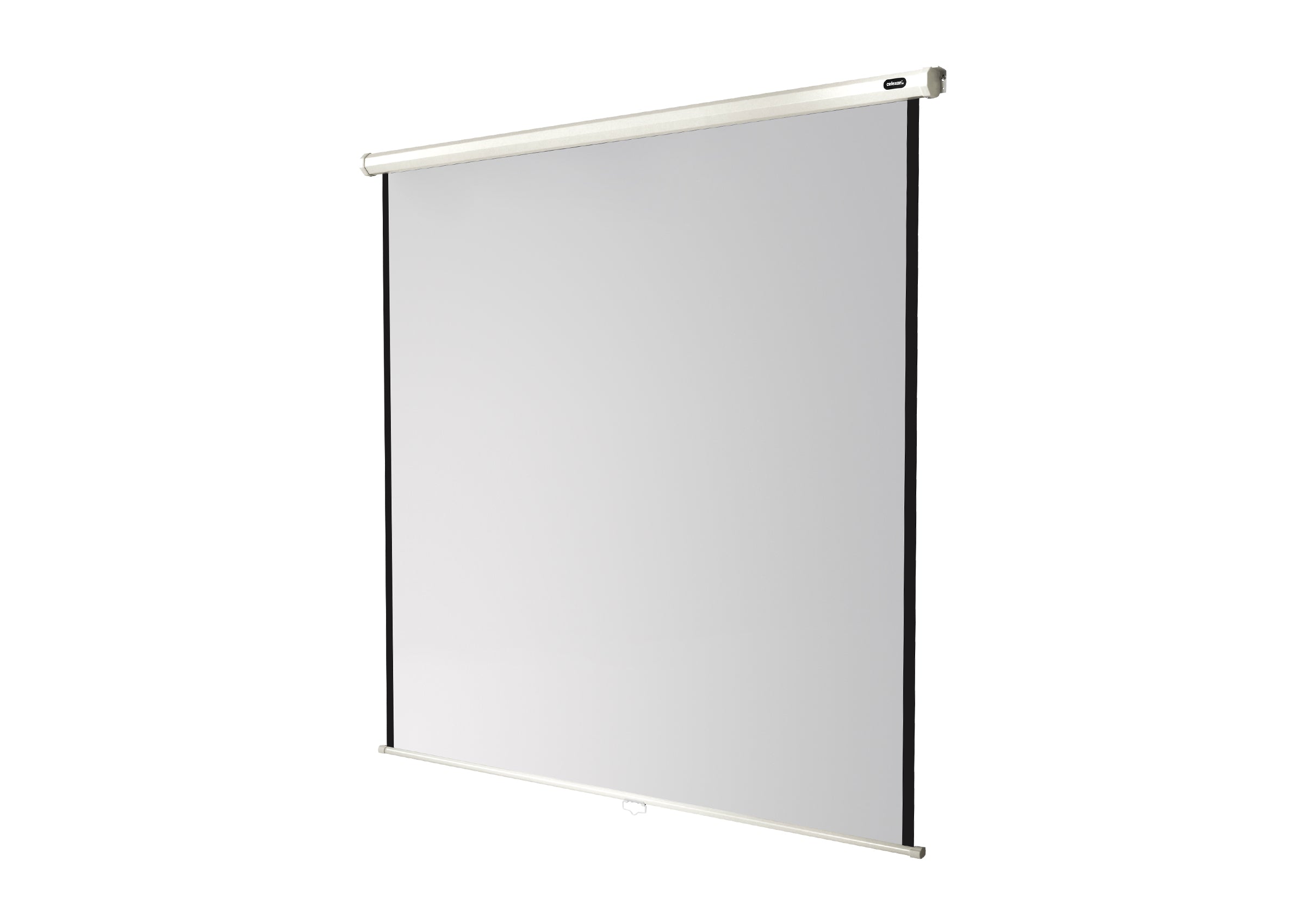 celexon Projector screen Manual Economy