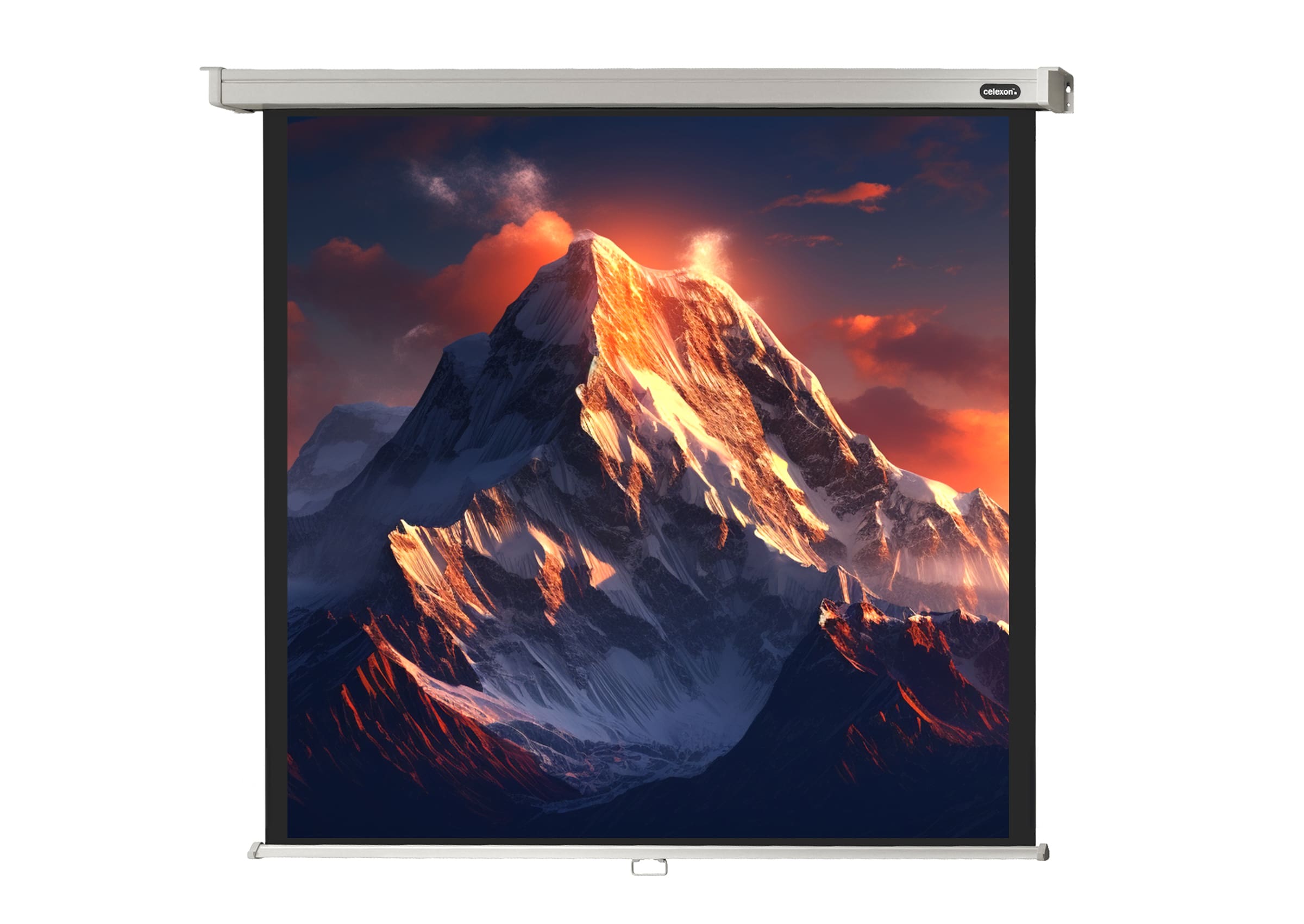 celexon Projector Screen Manual Professional