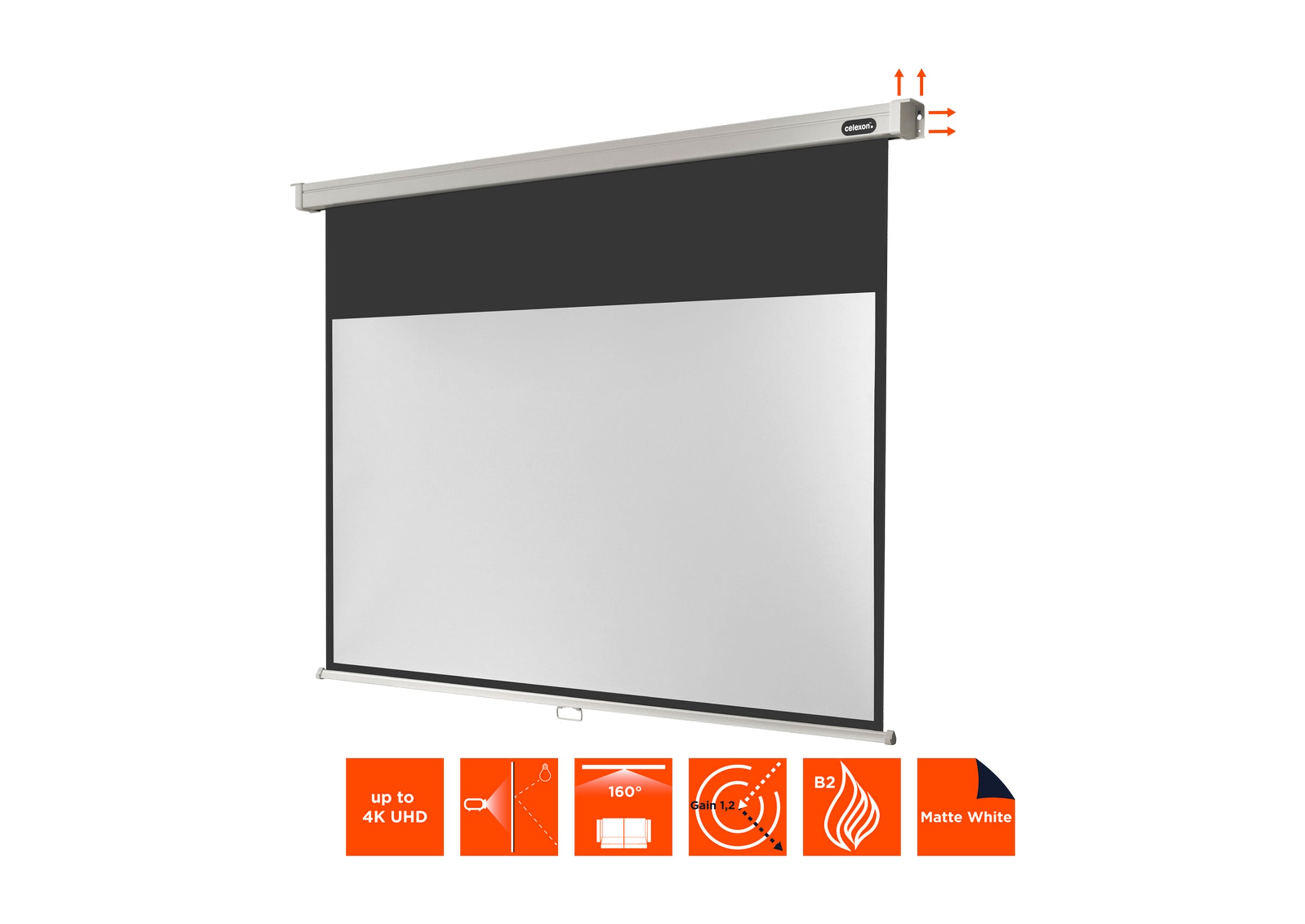 celexon Projector Screen Manual Professional