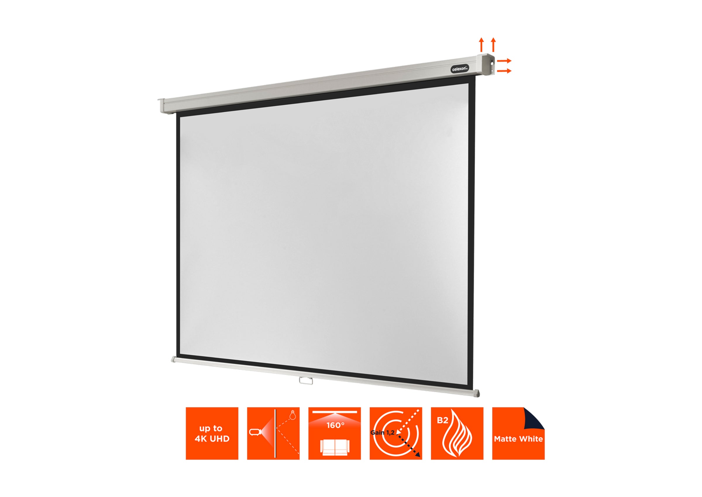 celexon Projector Screen Manual Professional