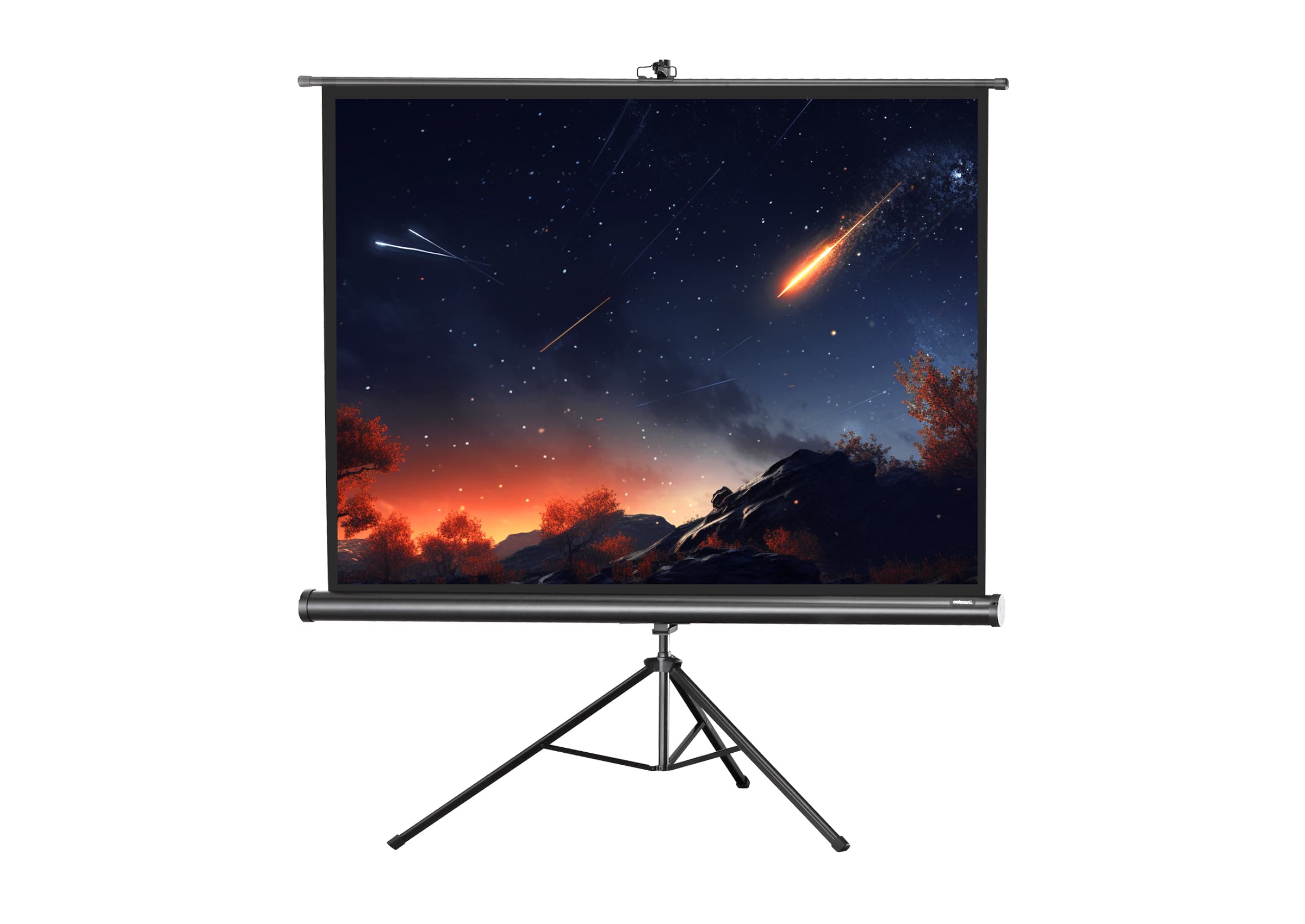 celexon screen Tripod Economy Projector Screen