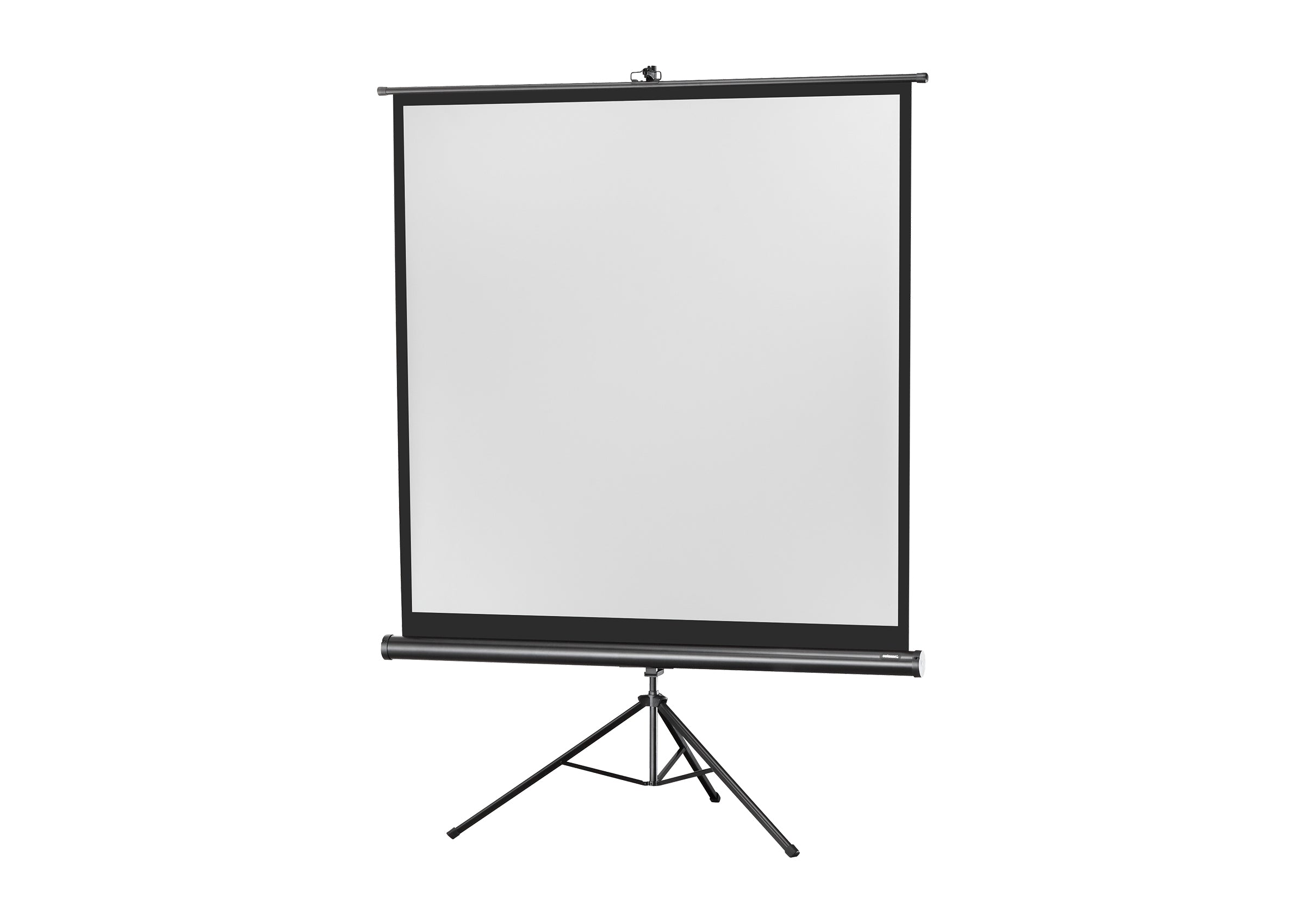 celexon screen Tripod Economy Projector Screen