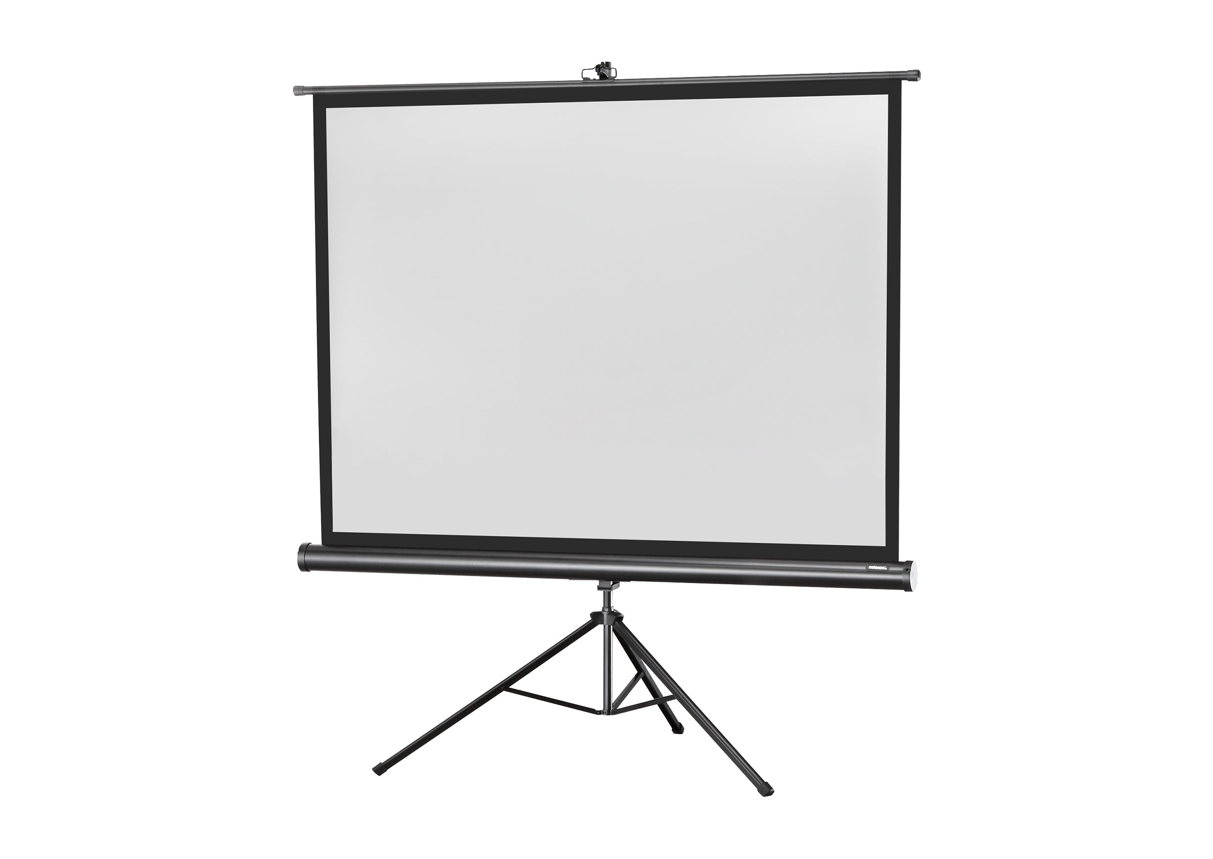 celexon screen Tripod Economy Projector Screen