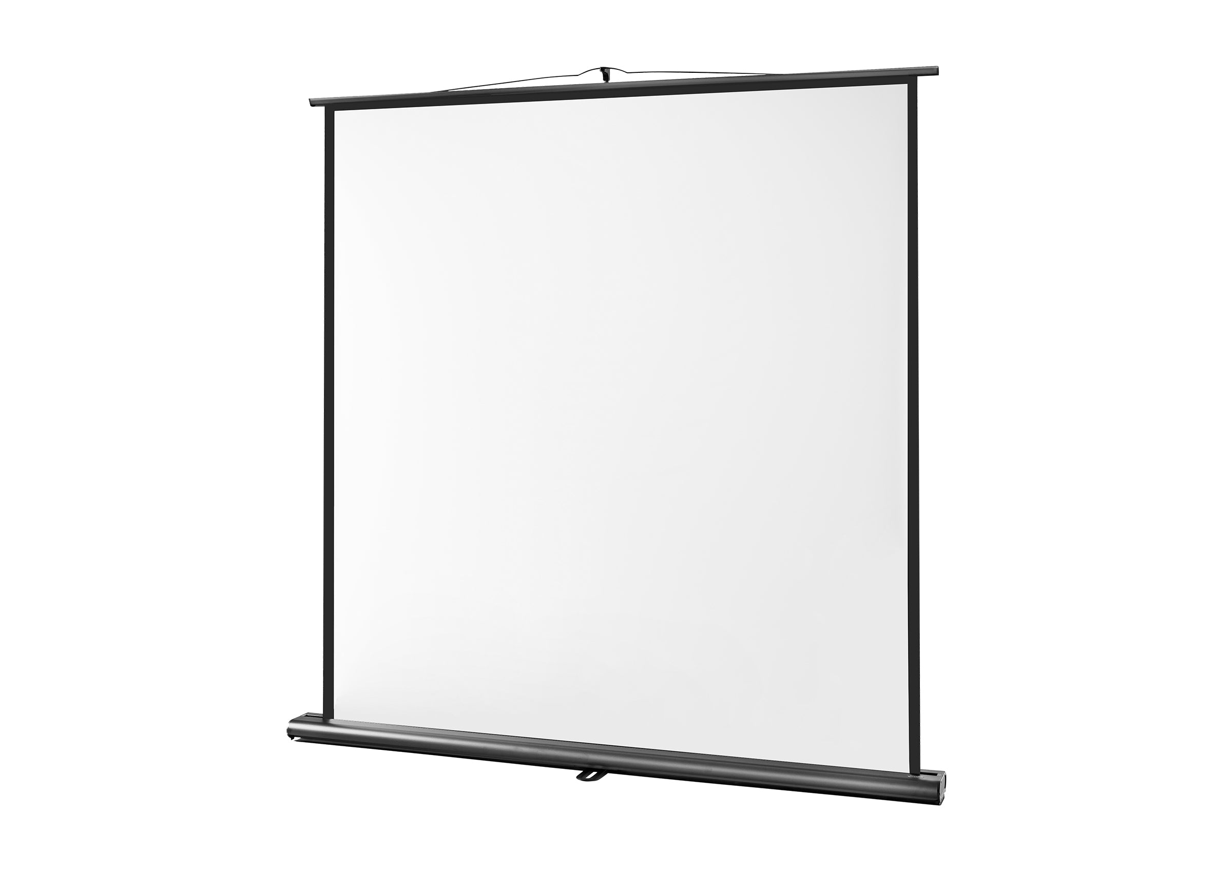 celexon Projector Screen Ultramobile Professional