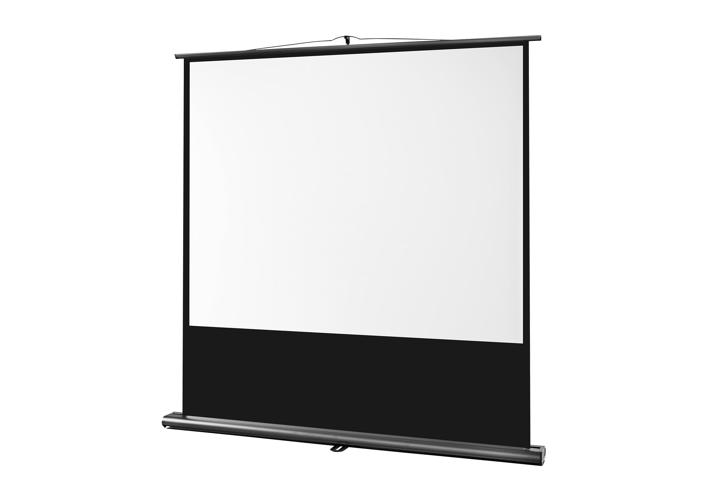 celexon Projector Screen Ultramobile Professional