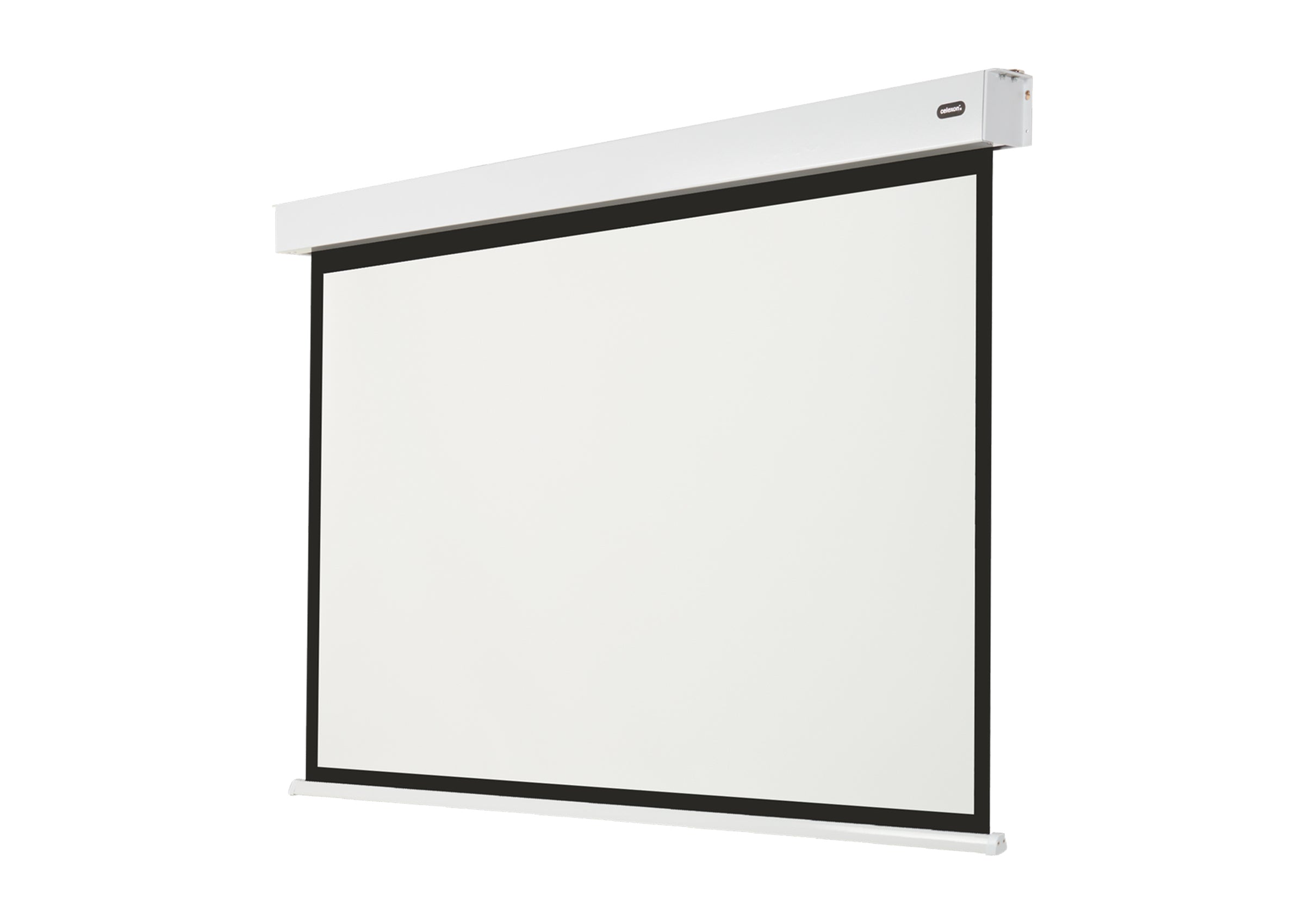 celexon Electric Professional Plus V2.0 Battery Projector Screen