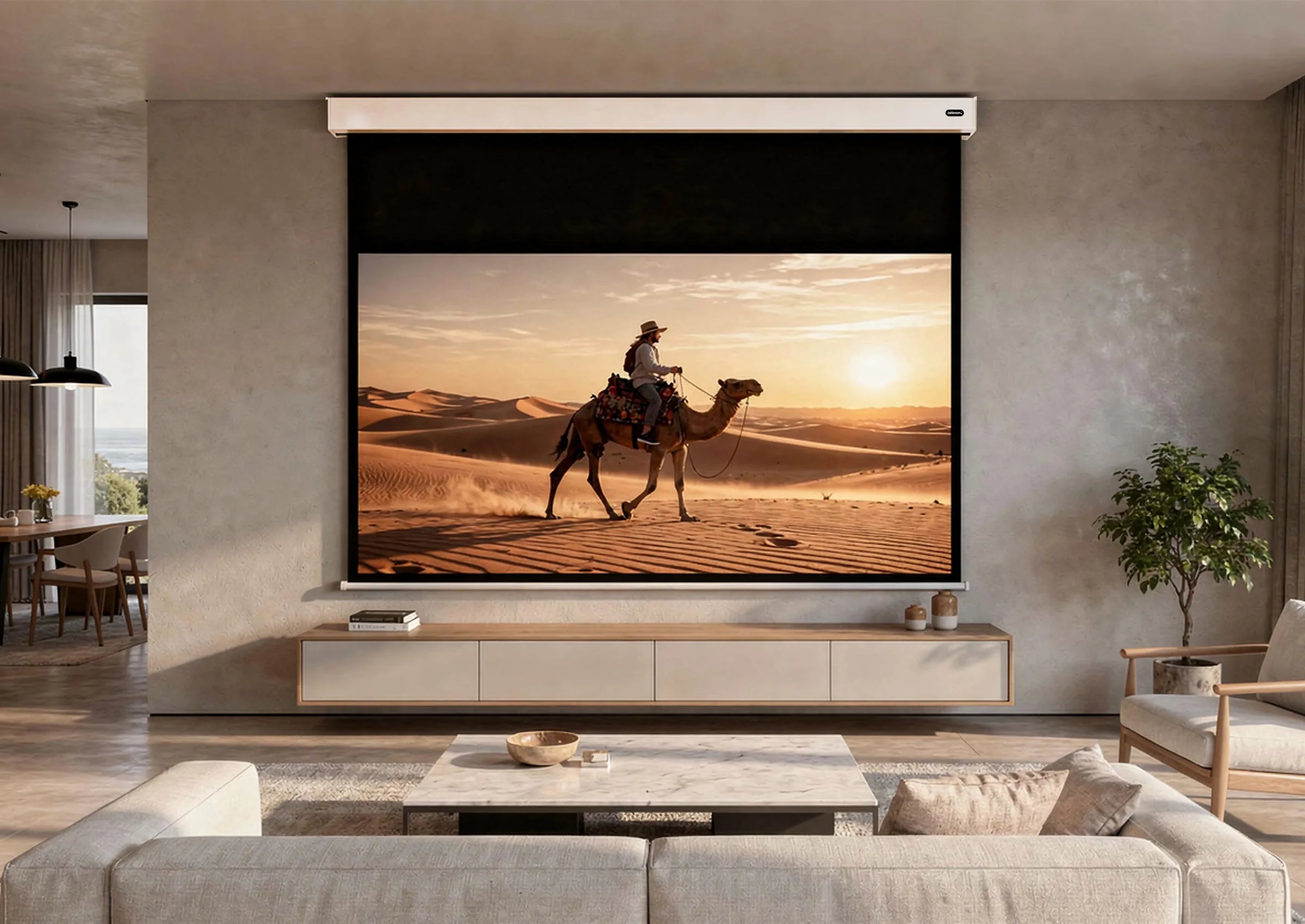 celexon Professional Plus V2.0 pantalla motorizada con batería