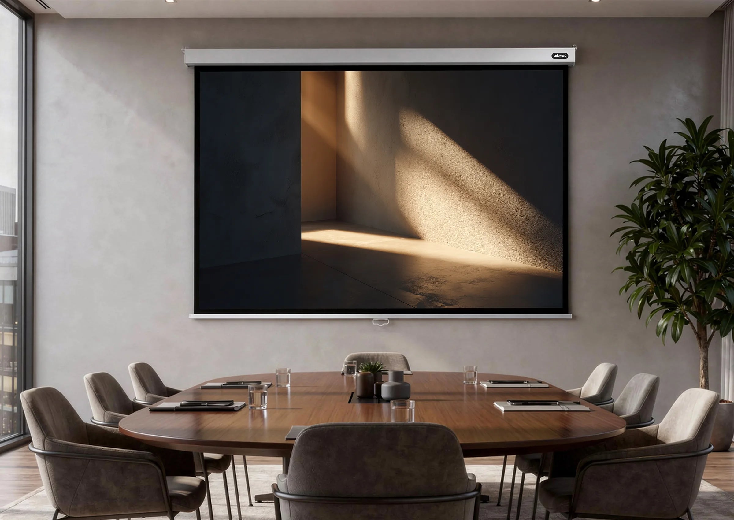 celexon pantalla manual mural Profesional Plus