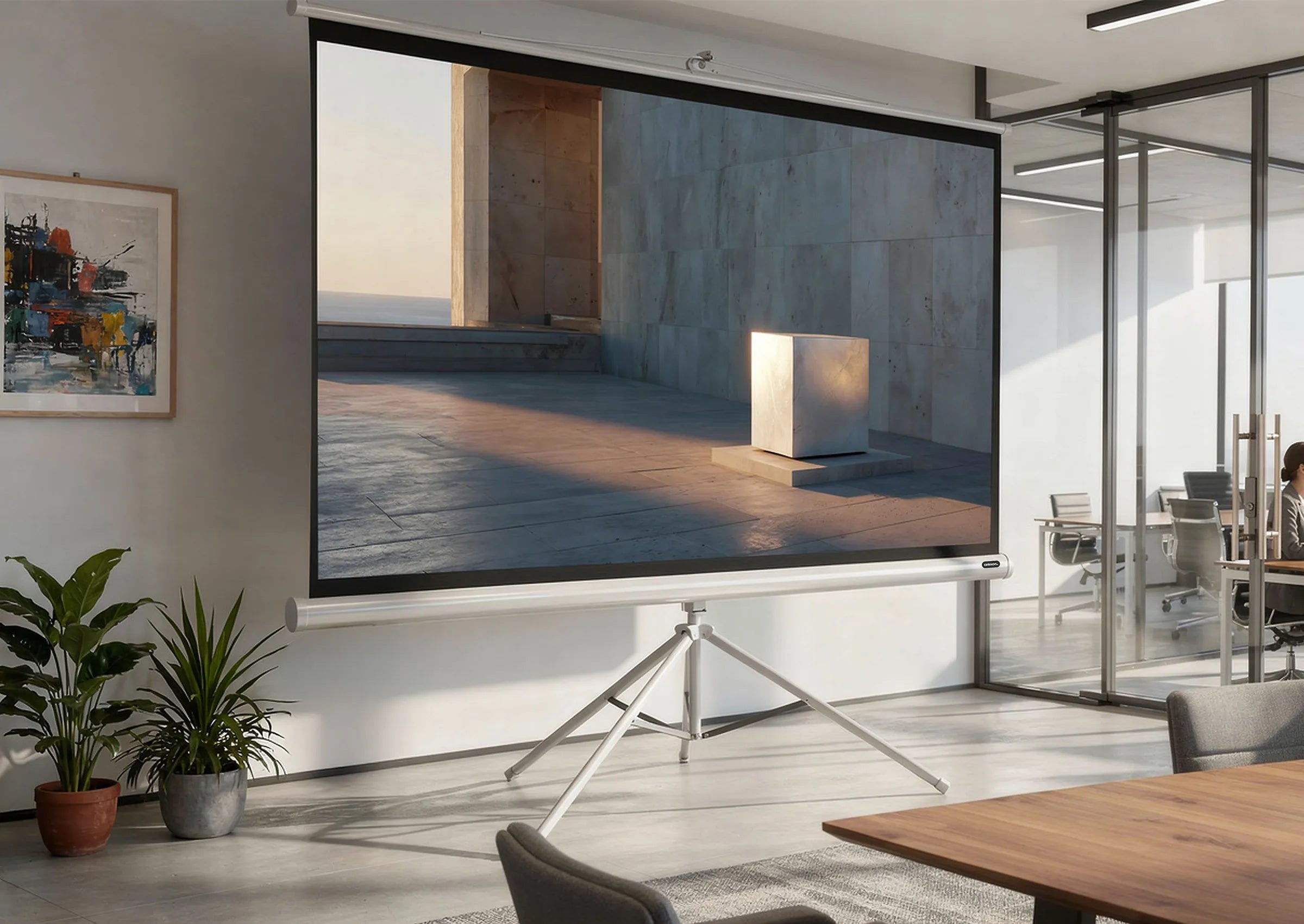 celexon Economy pantalla de tripode - Edición blanco