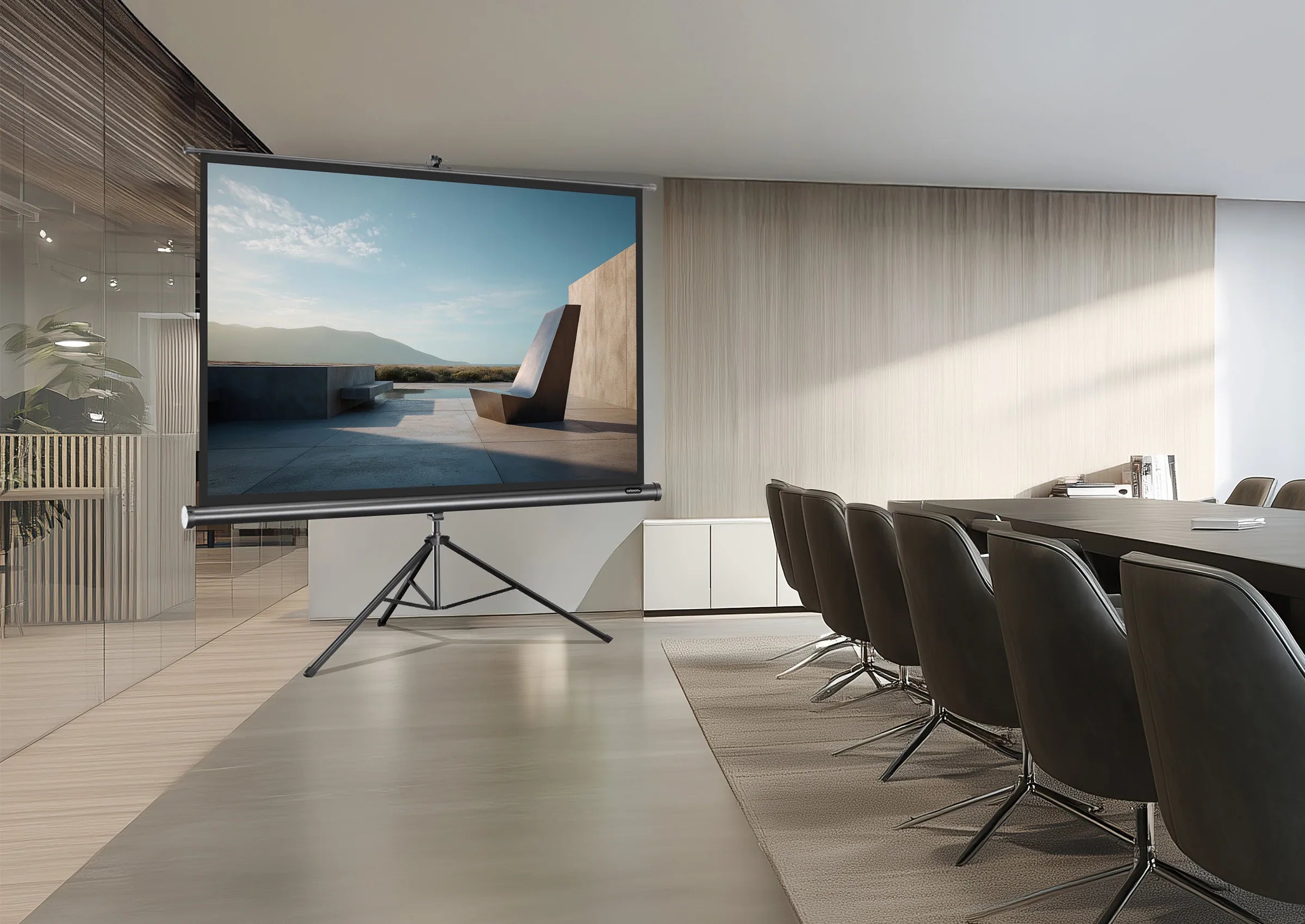 Ecran de projection sur pied celexon Economy