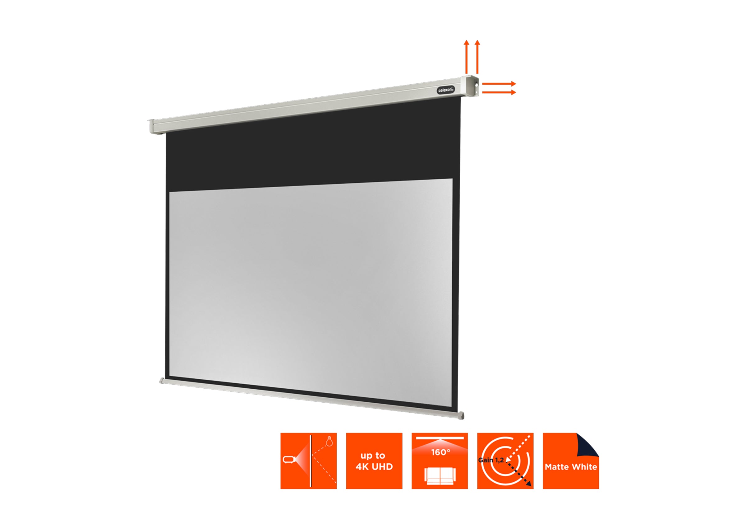 celexon Projector Screen Electric Professional