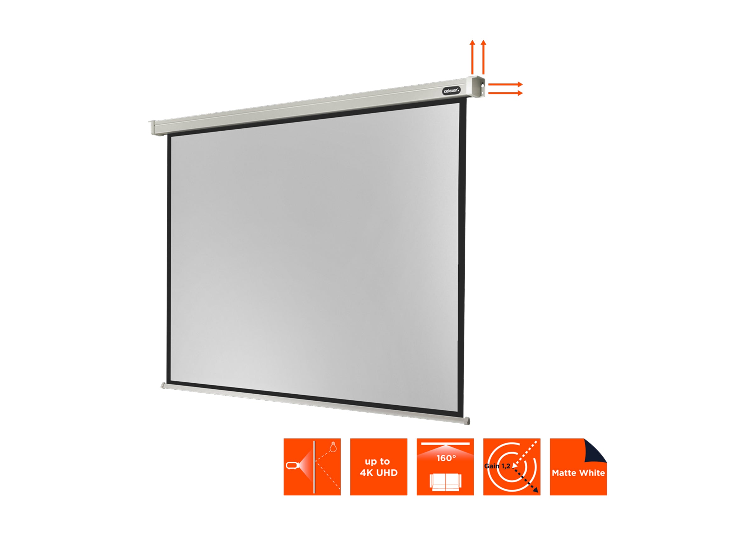 celexon Projector Screen Electric Professional