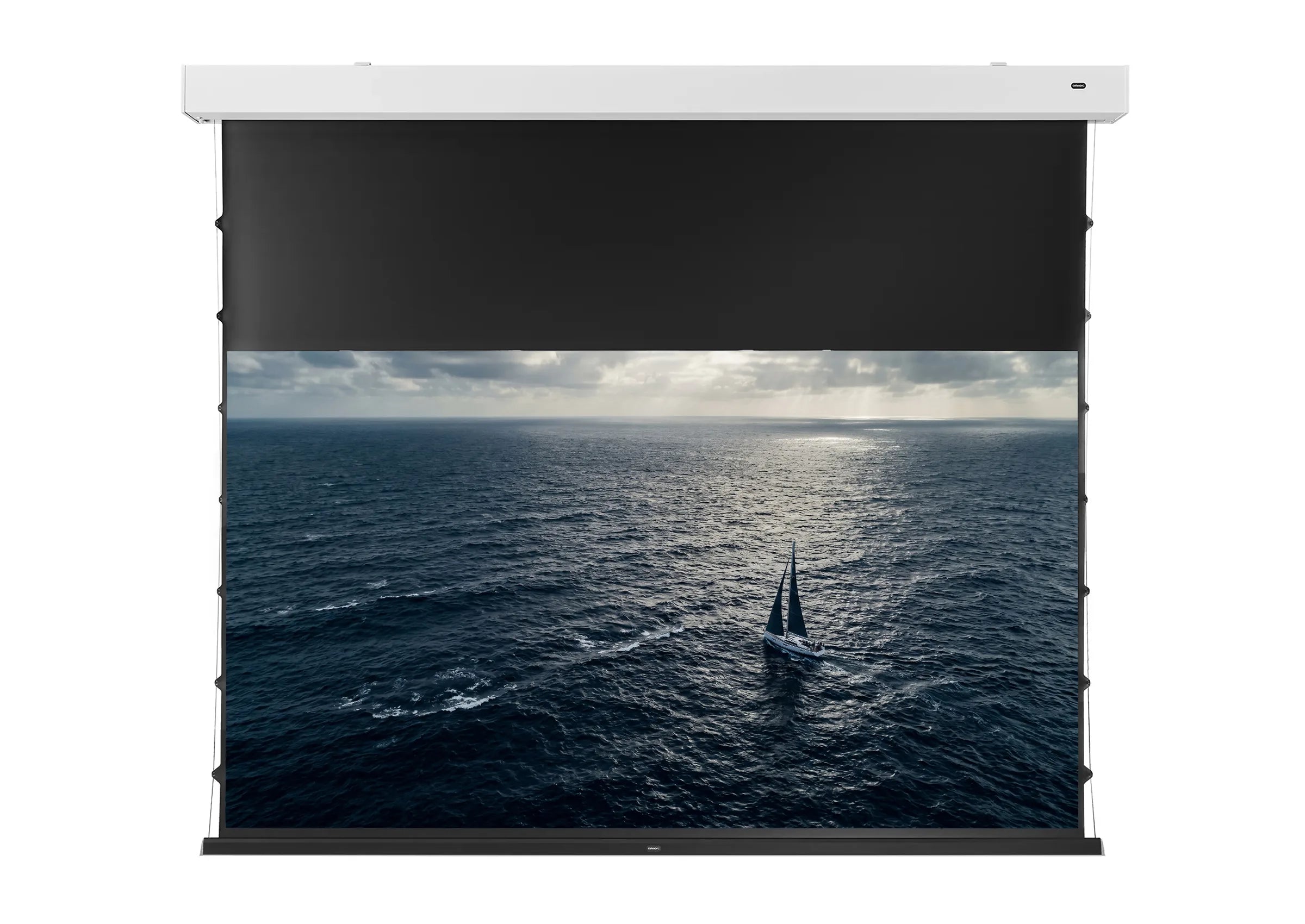 celexon DARKVISION ALR Premium Plus Pantalla eléctrica tensionada