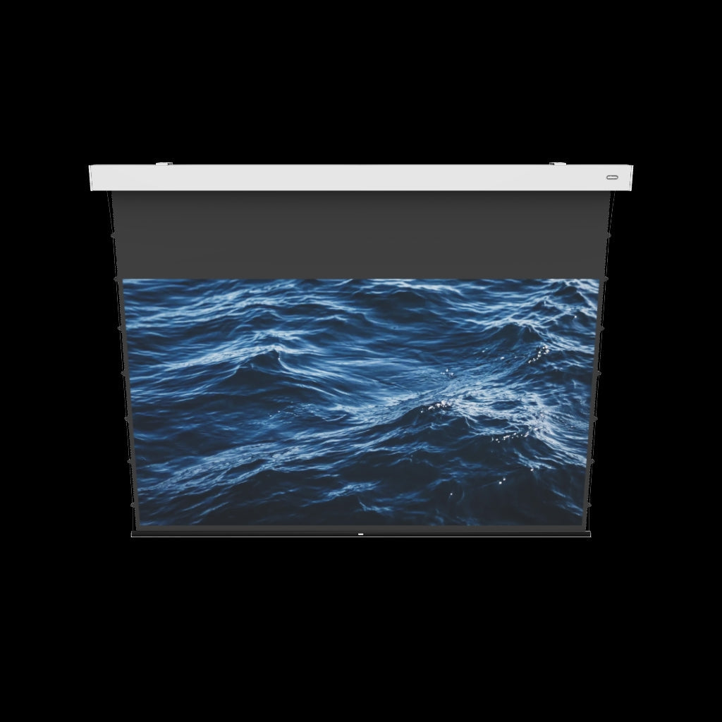 3D/AR Model of the celexon 4K Pro MWHT Premium Plus Screen Electric Tension 110"