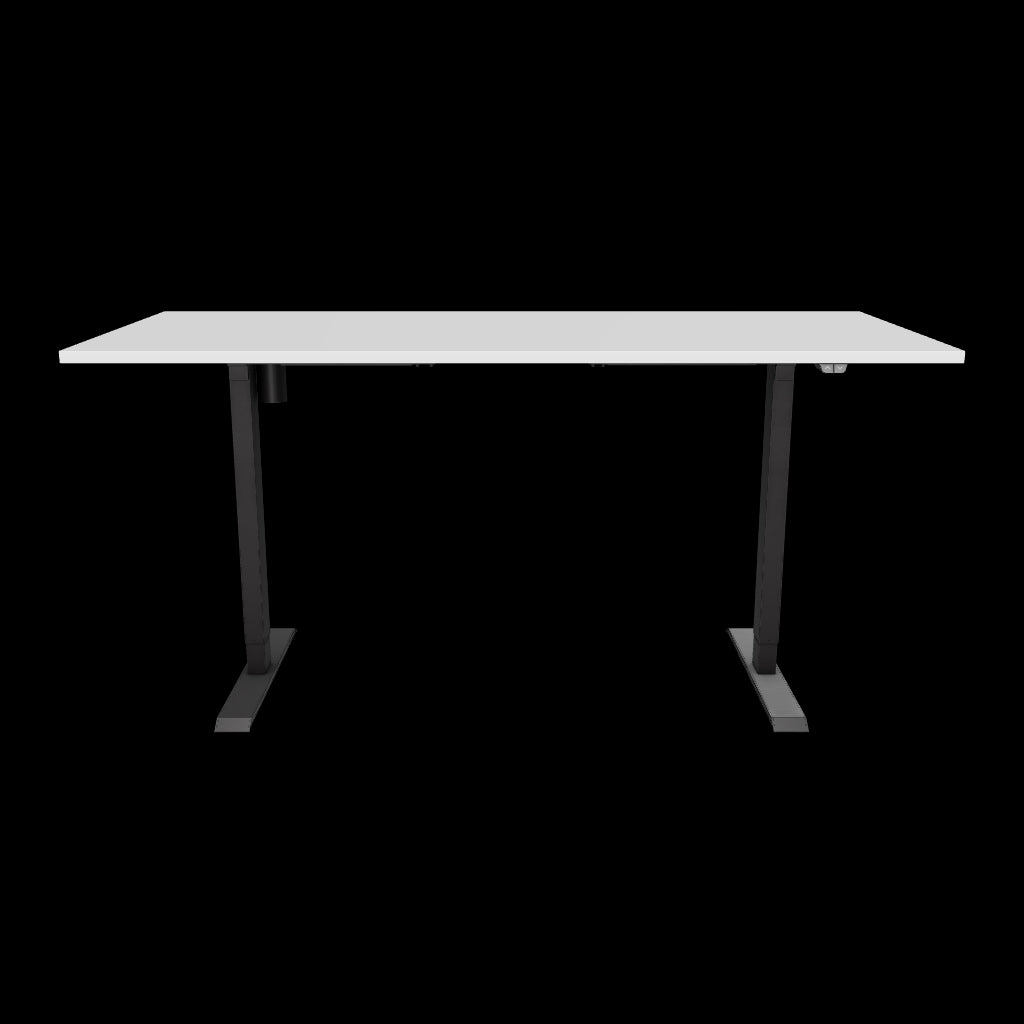 3d/AR Model of the celexon electric height adjustable desk Economy eAdjust-71121 - black, incl. tabletop 175 x 75 cm