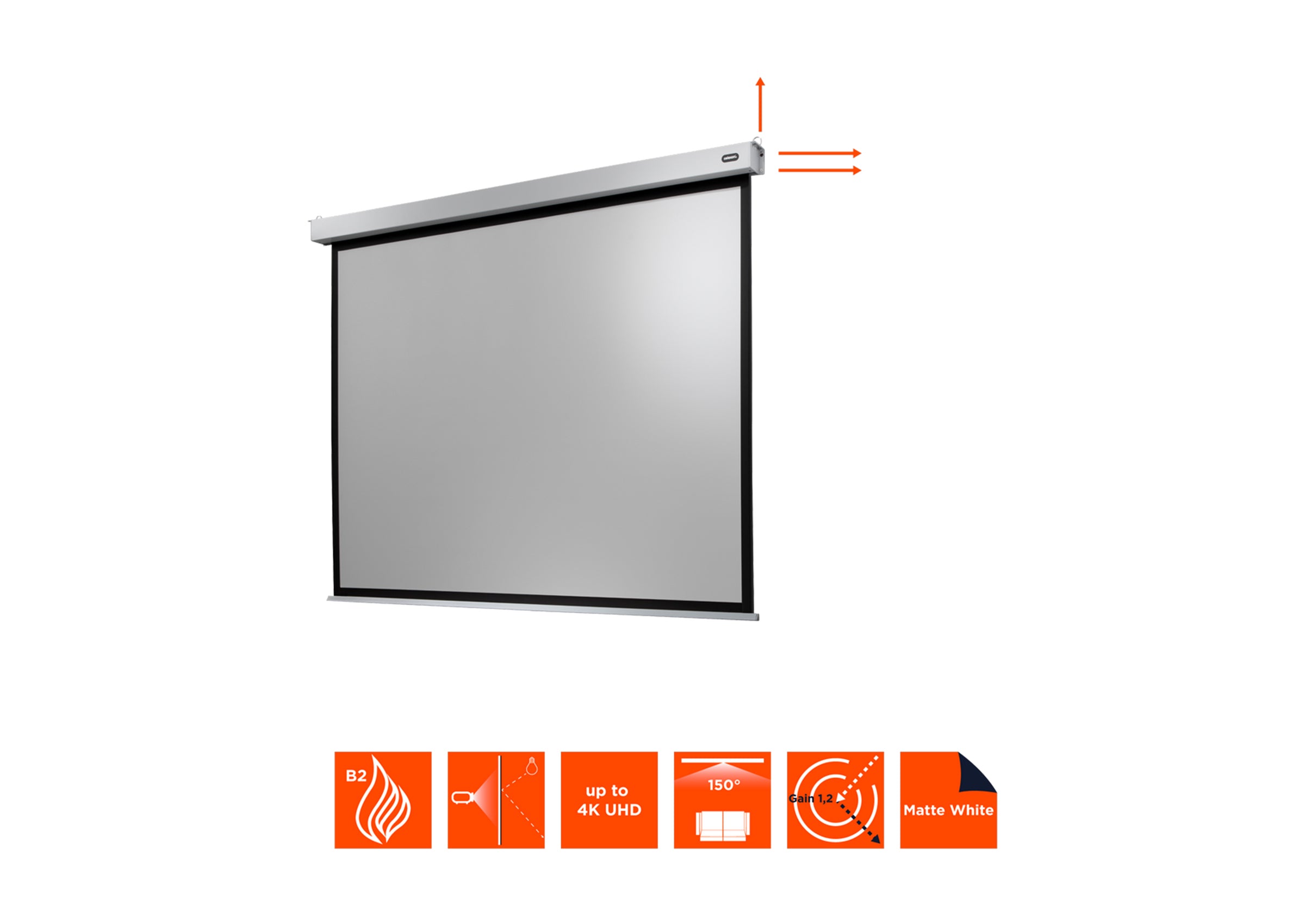 celexon Projector Screen Electric Professional Plus