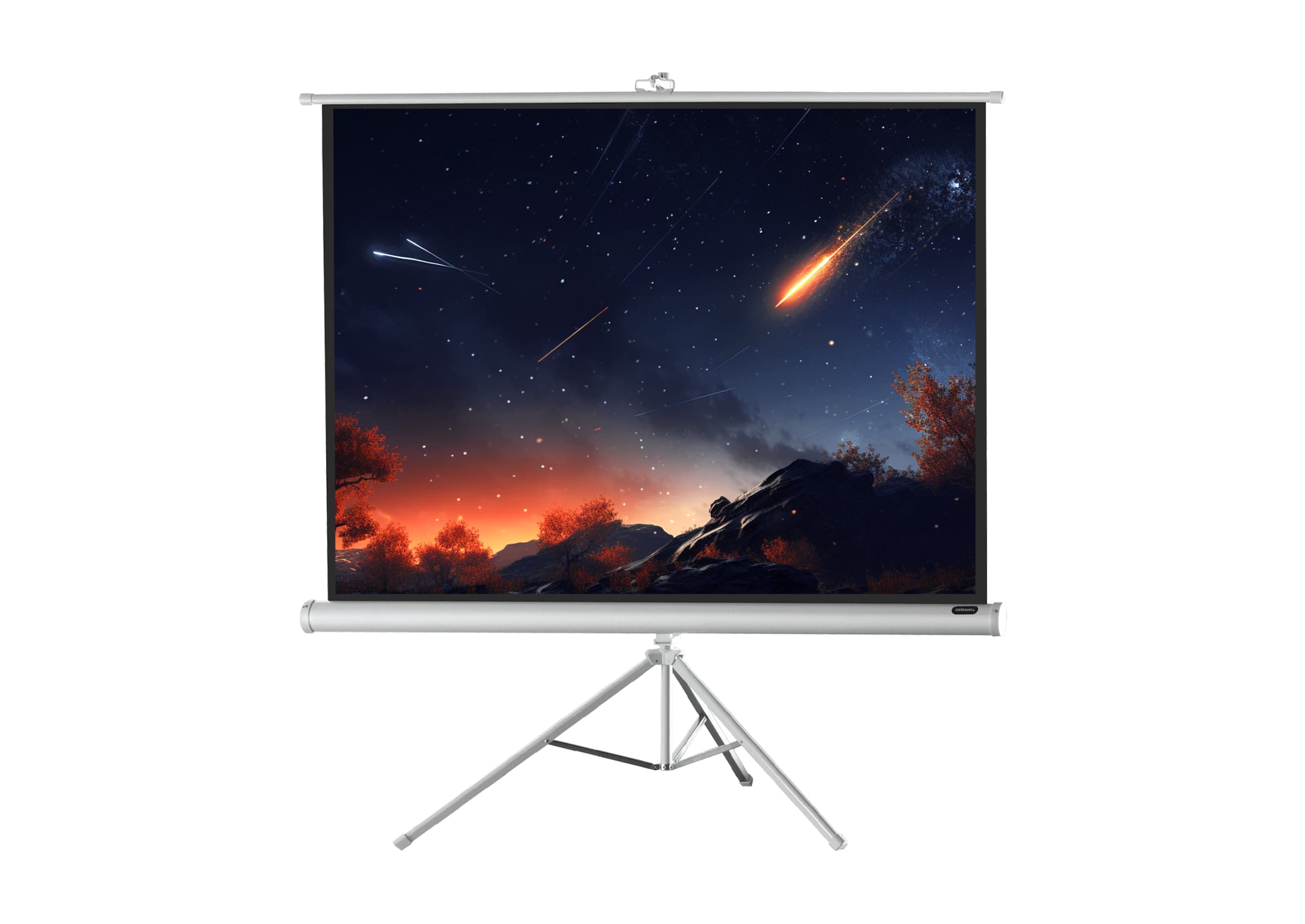 celexon screen Tripod Economy Projector Screen - white edition