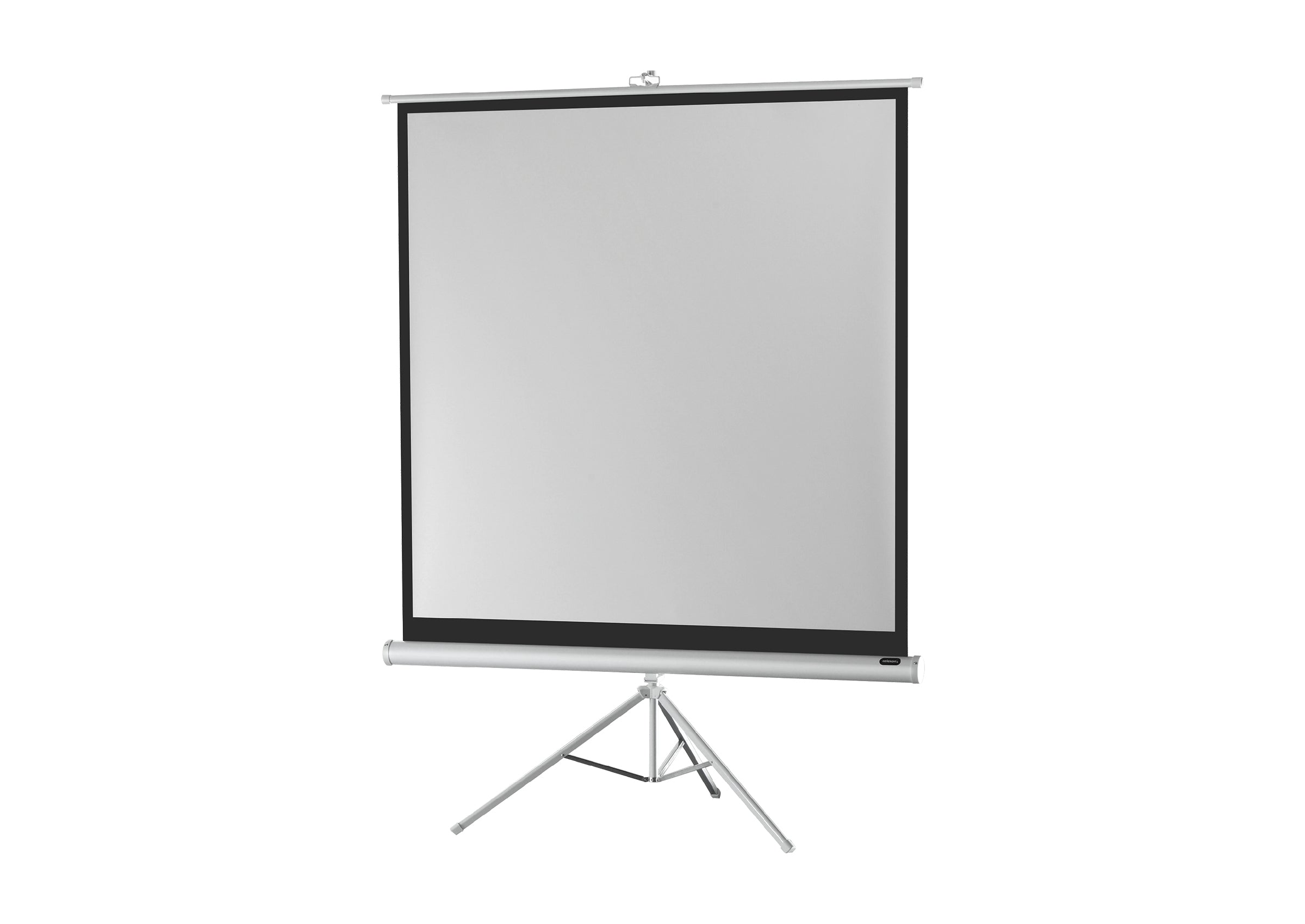 celexon screen Tripod Economy Projector Screen - white edition