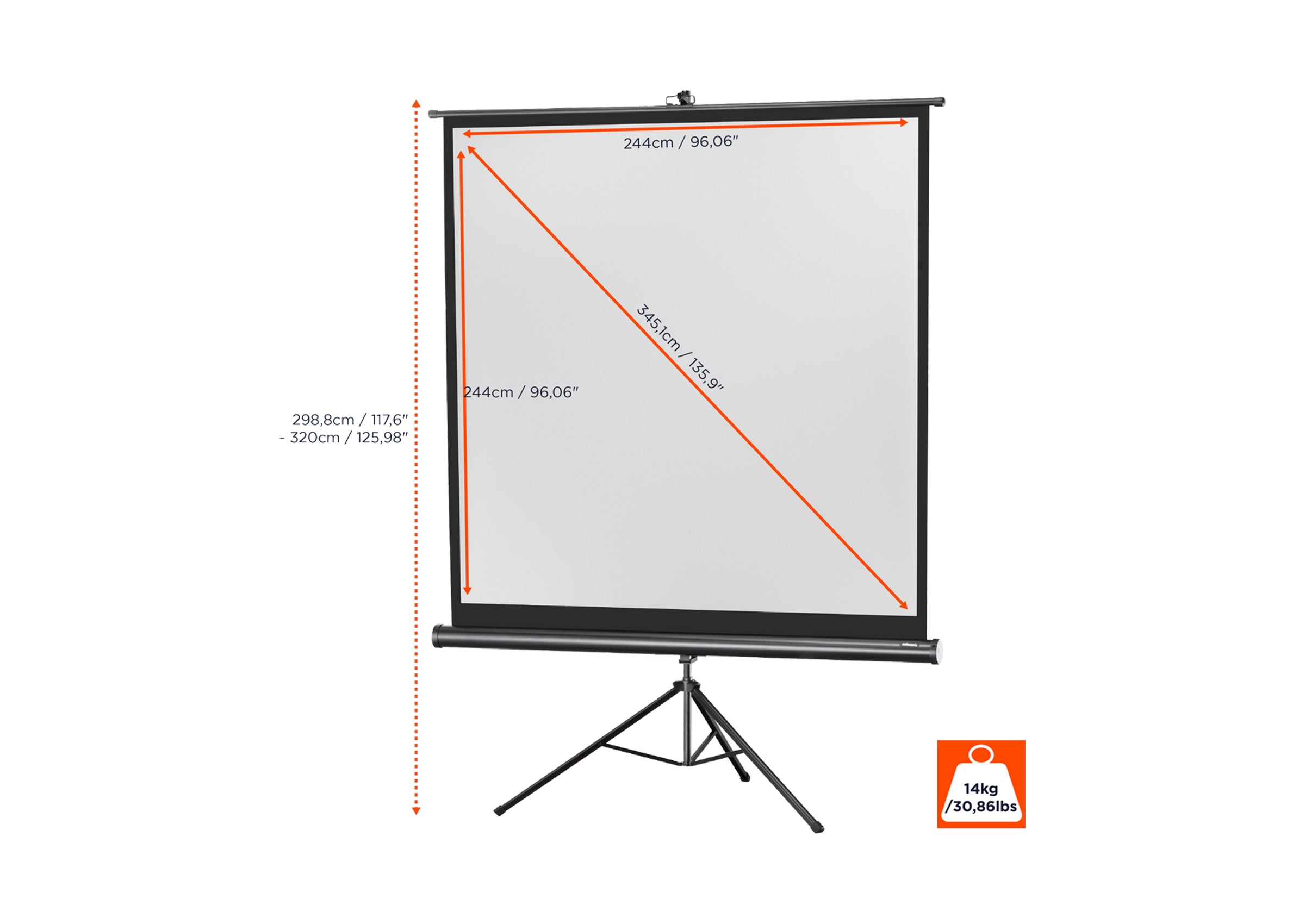 celexon screen Tripod Economy Projector Screen