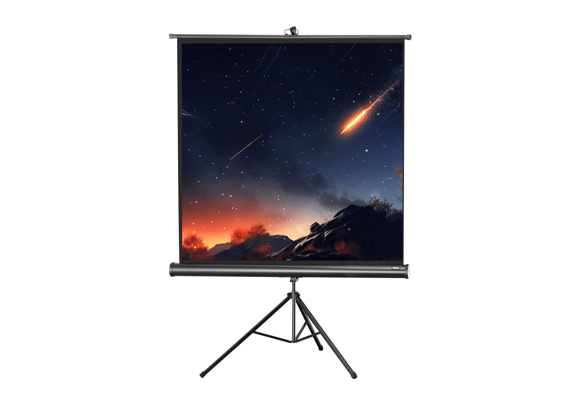 celexon screen Tripod Economy Projector Screen