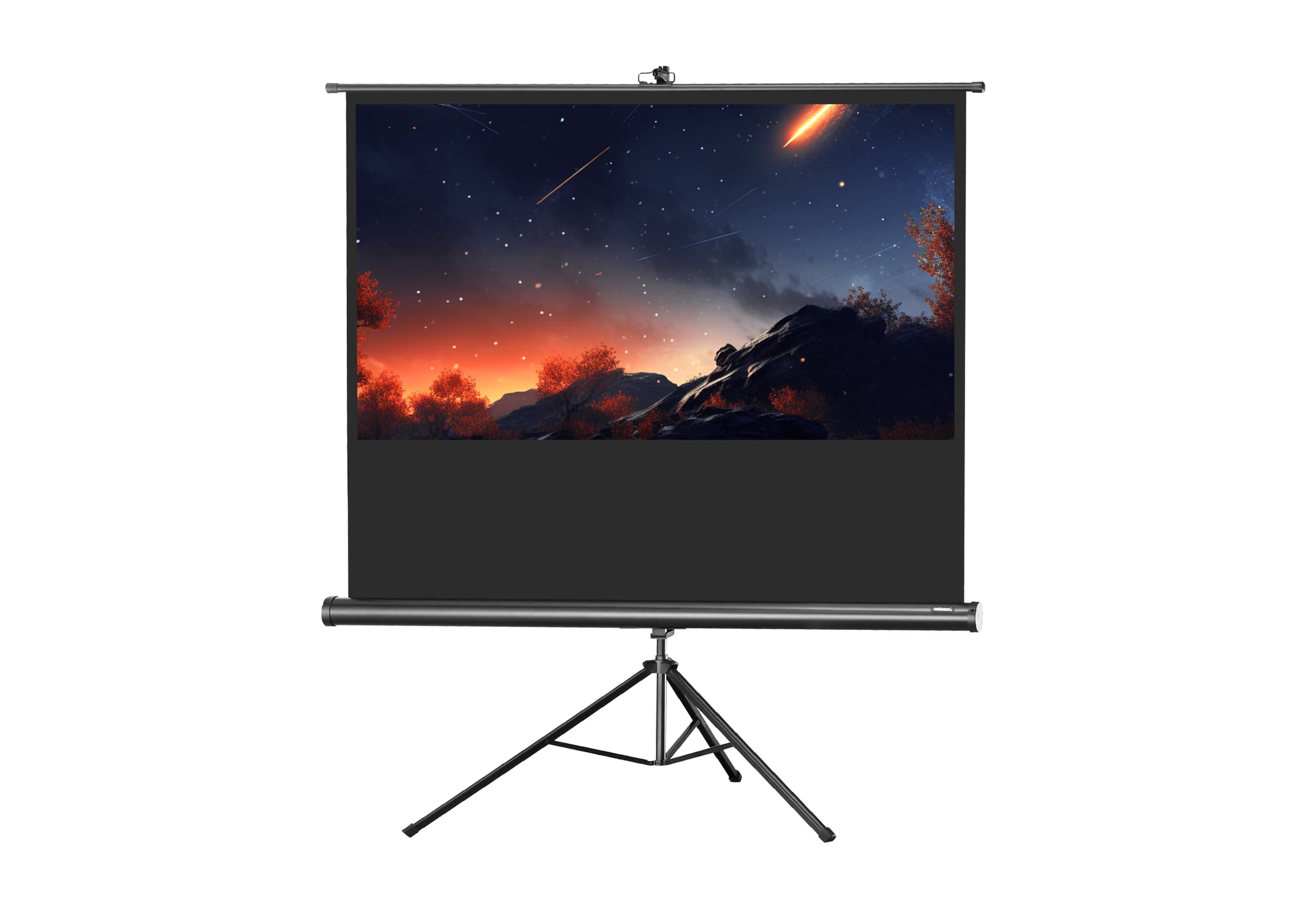 celexon screen Tripod Economy Projector Screen