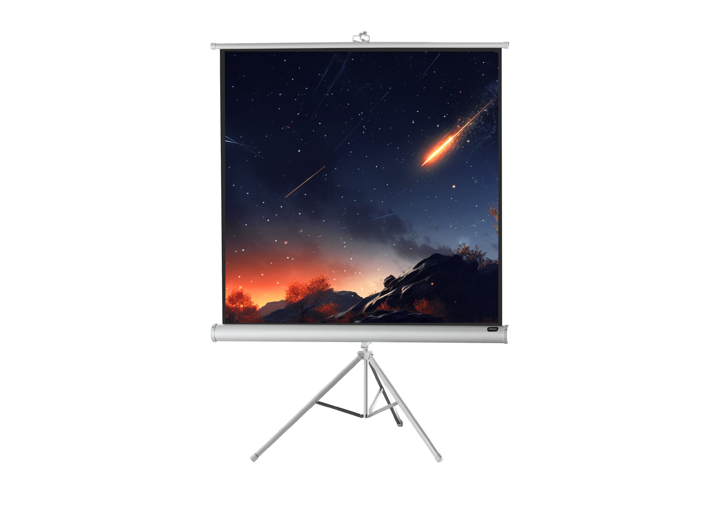 celexon screen Tripod Economy Projector Screen - white edition