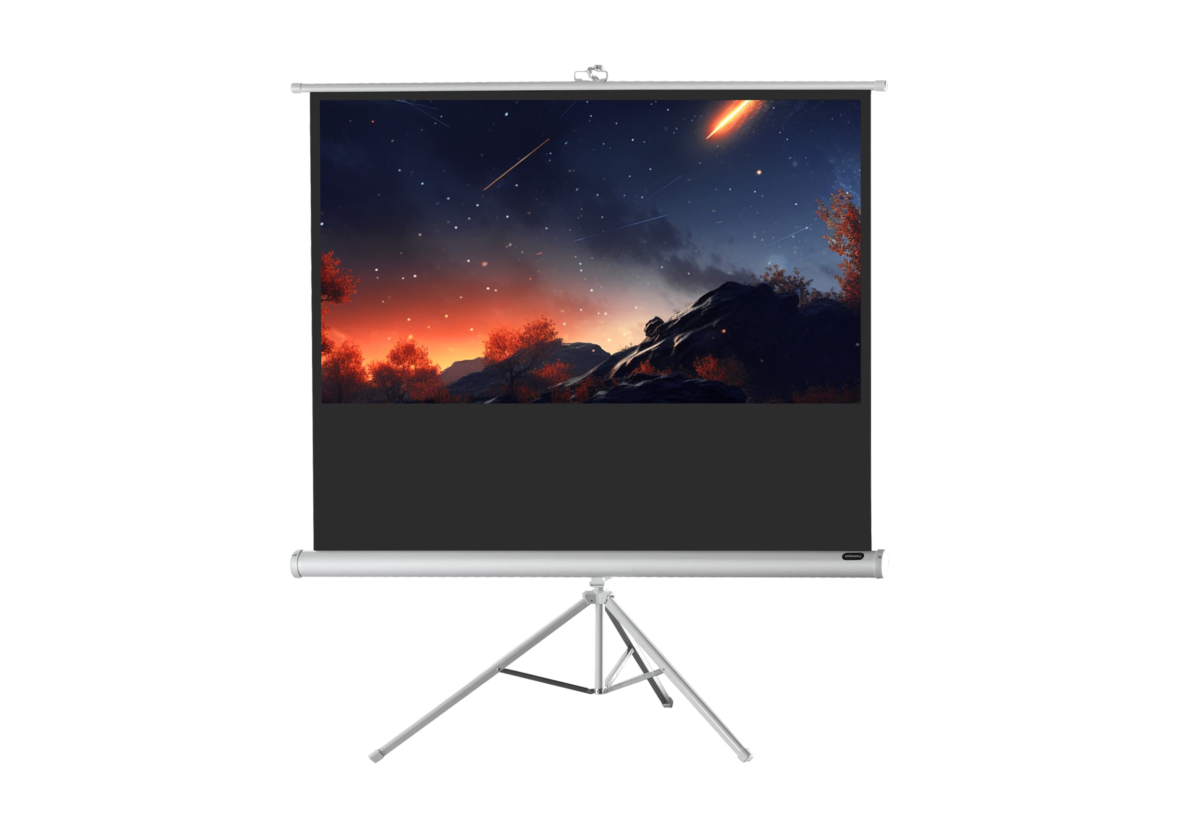 celexon screen Tripod Economy Projector Screen - white edition